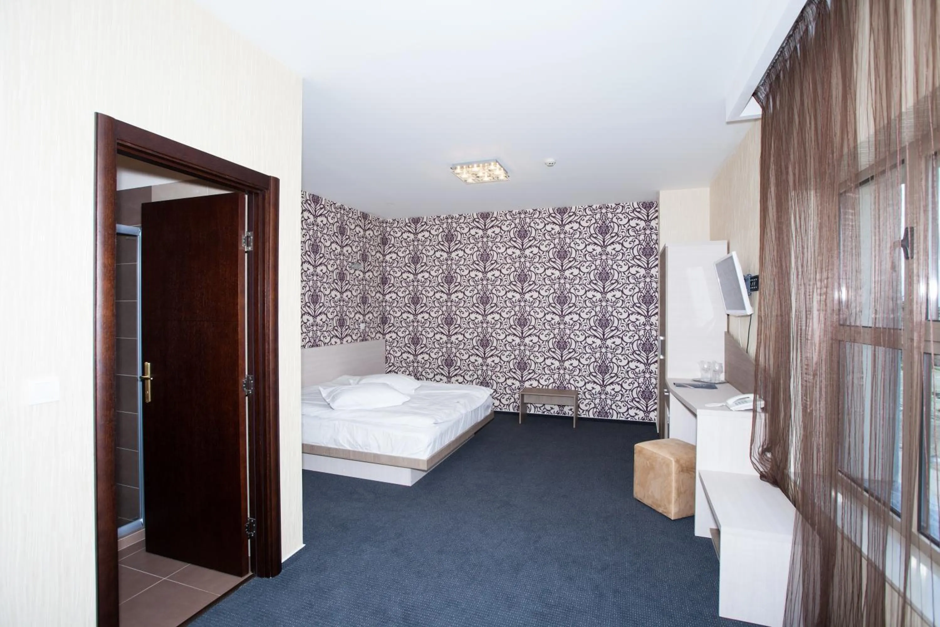 Double Room - single occupancy in Albert Hotel