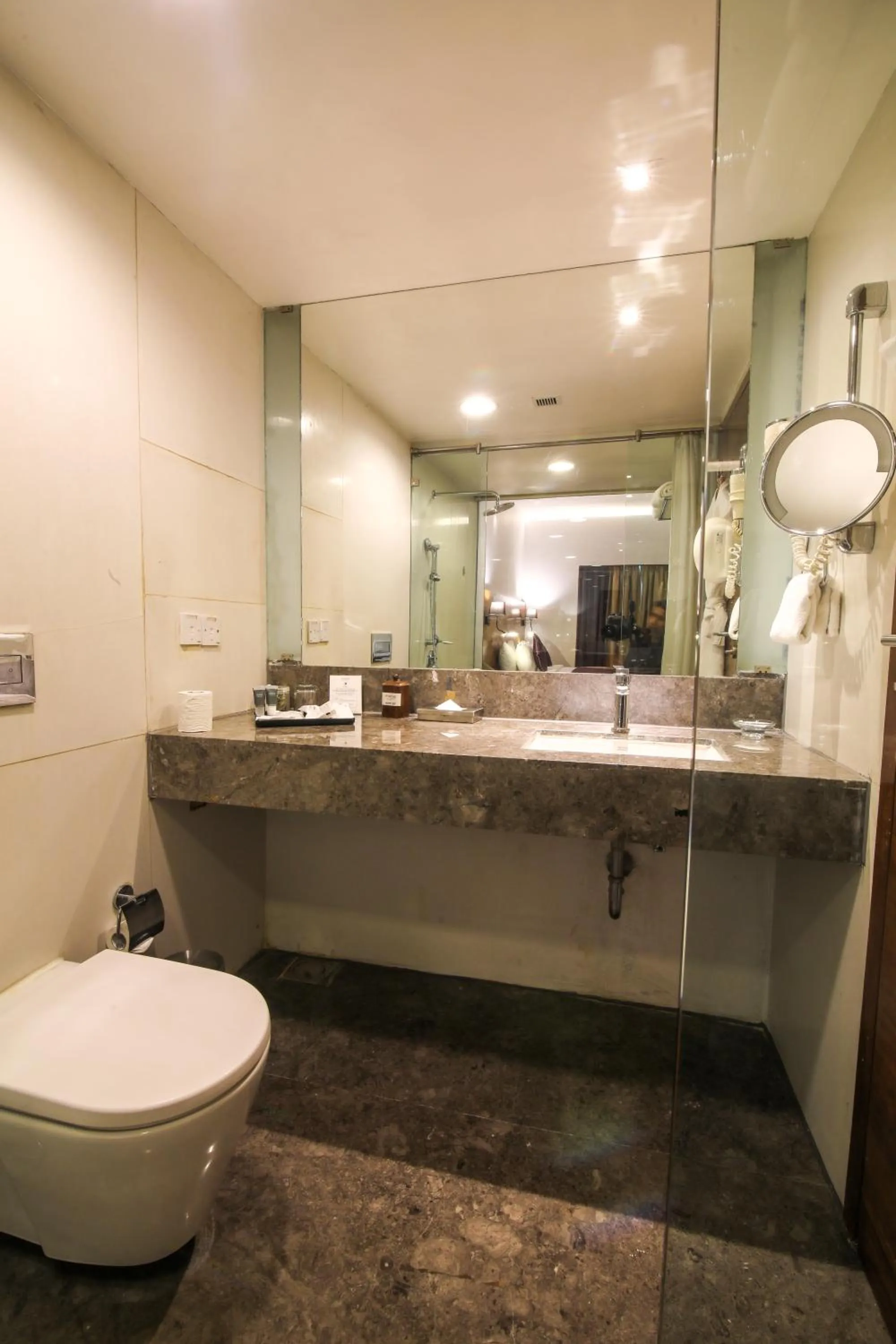 Toilet in The Orchid Hotel Hinjewadi Pune