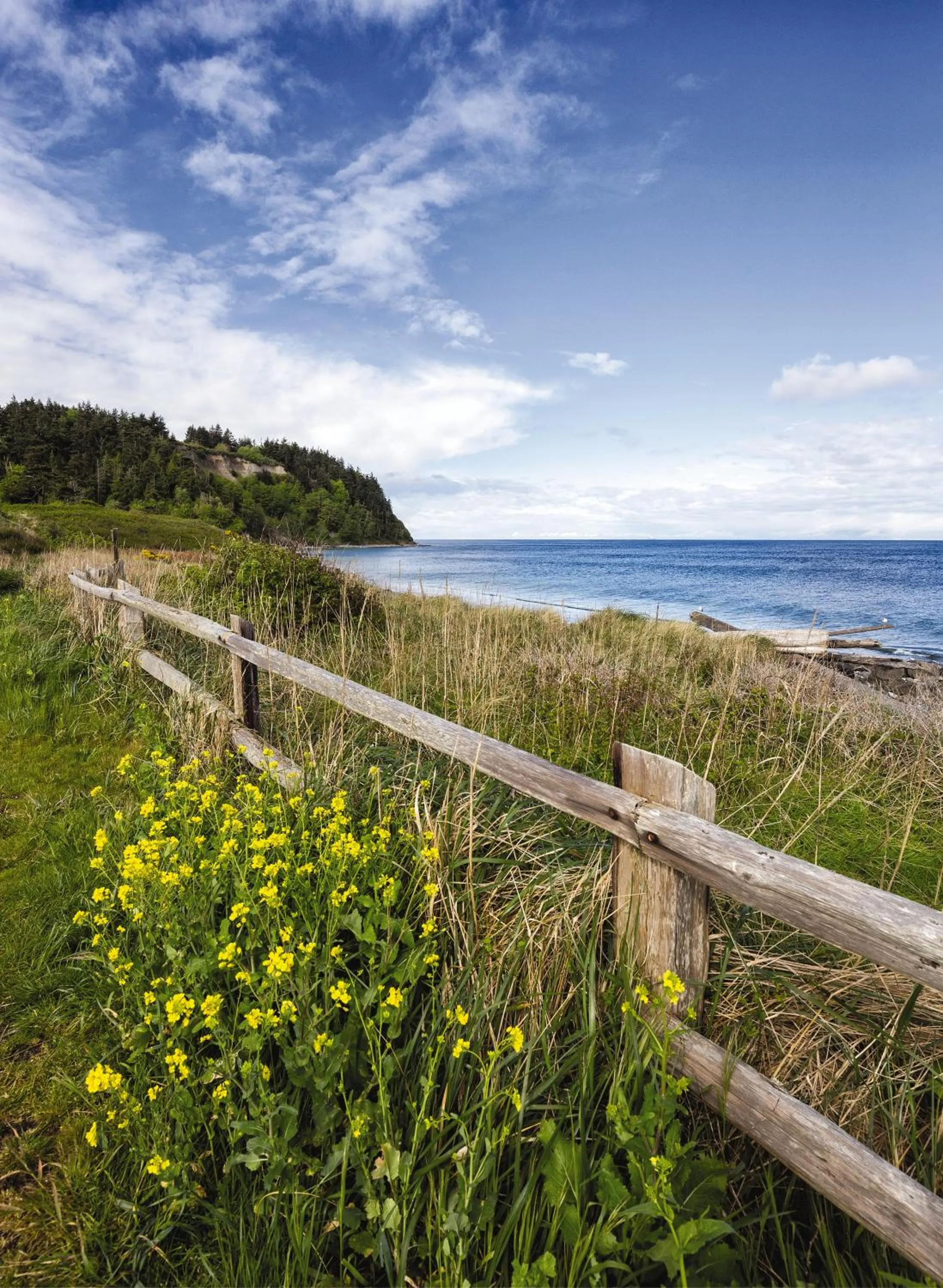 Natural landscape in WorldMark Discovery Bay