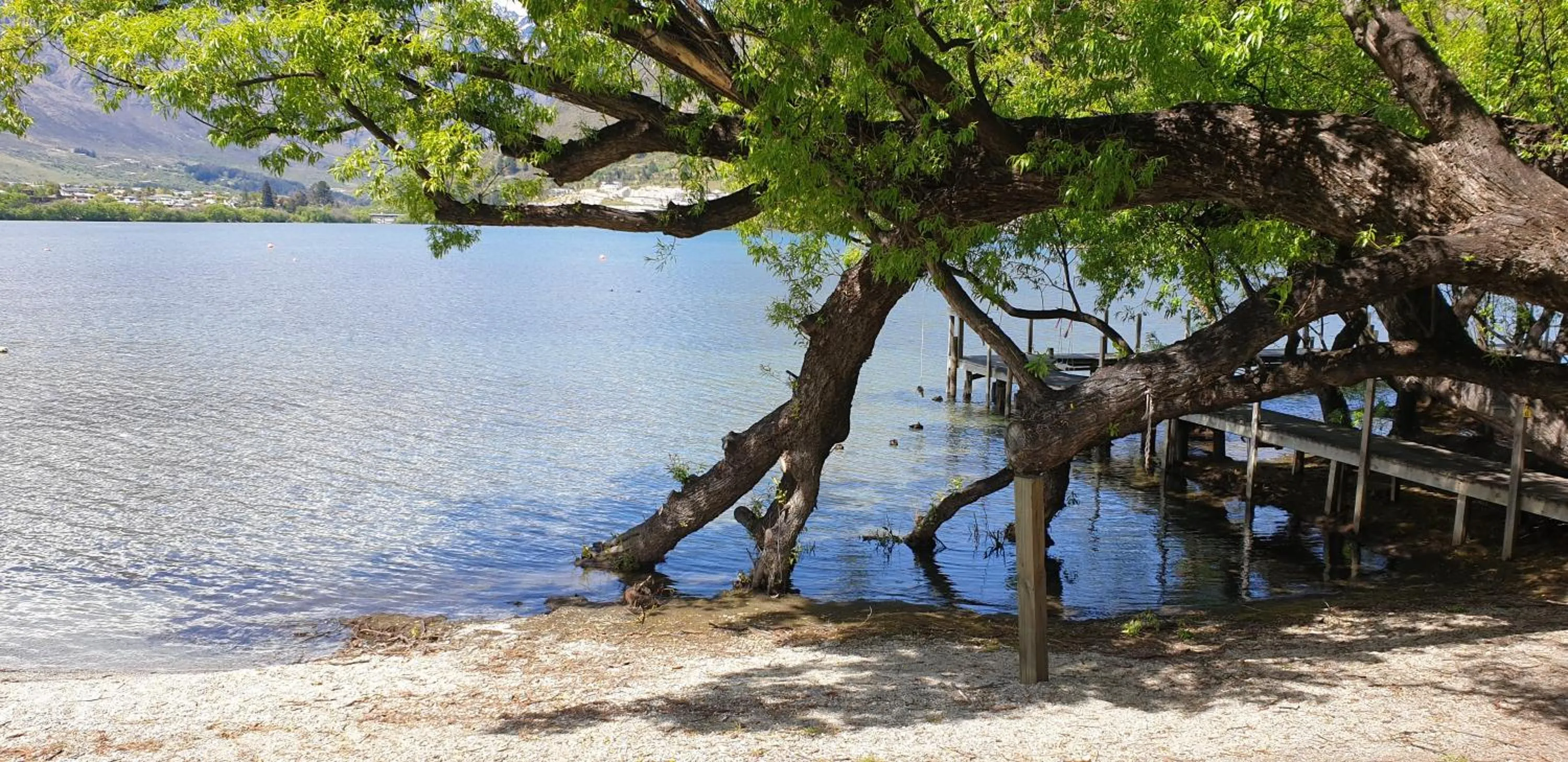 Natural landscape in Hello QT Marina