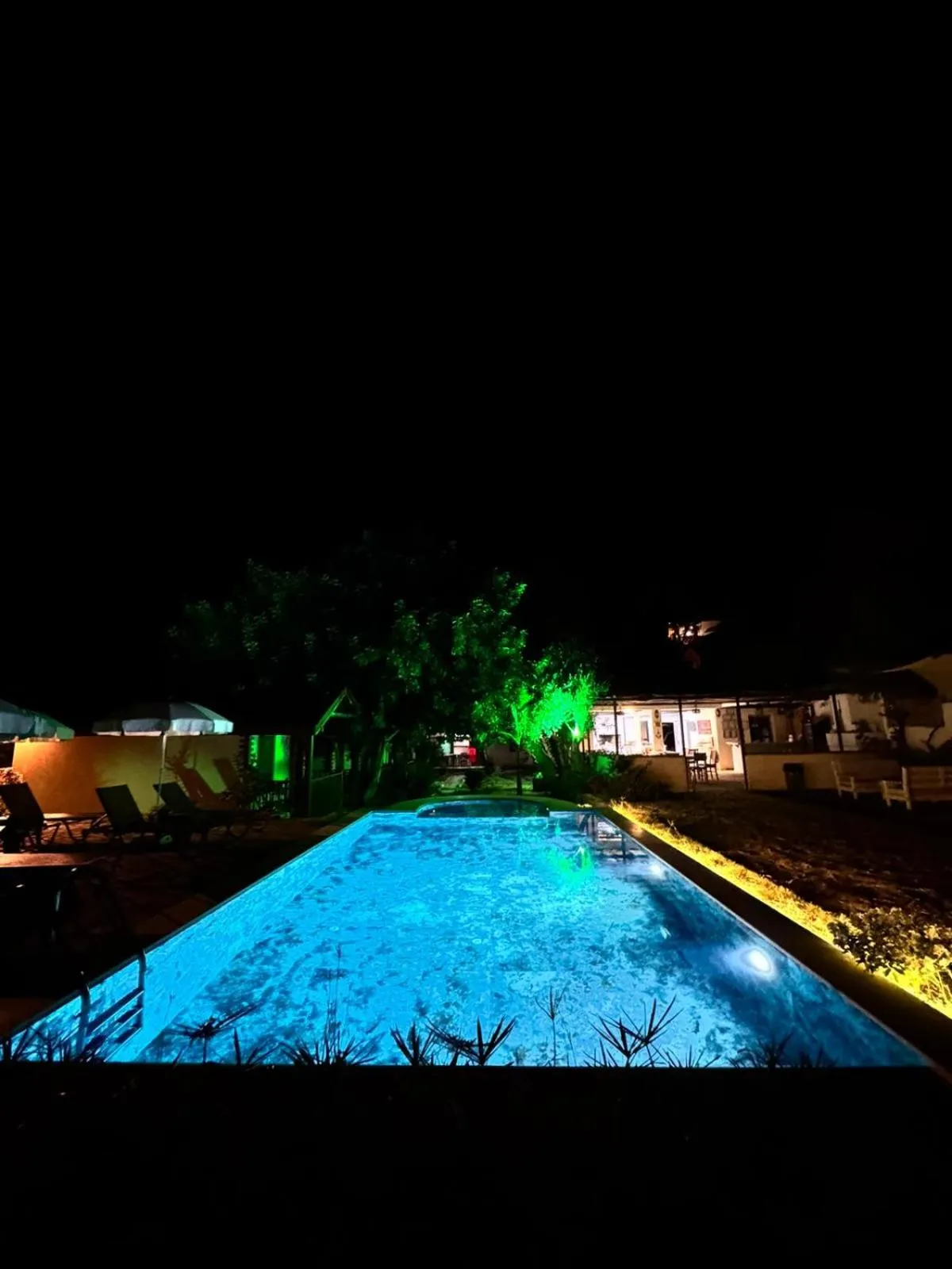 Night in KiDRAK OTEL MONTENEGRO-1