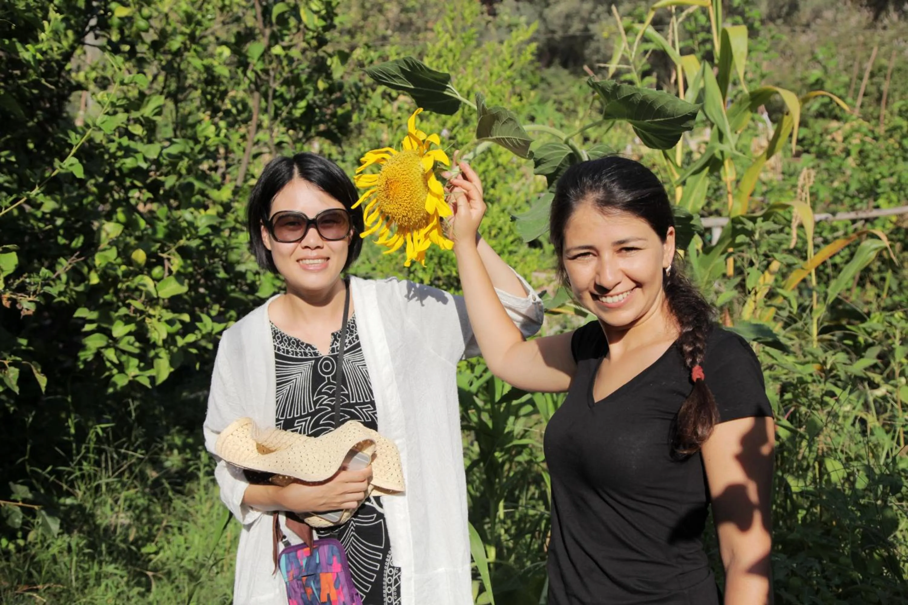 On site in KiDRAK OTEL MONTENEGRO-1