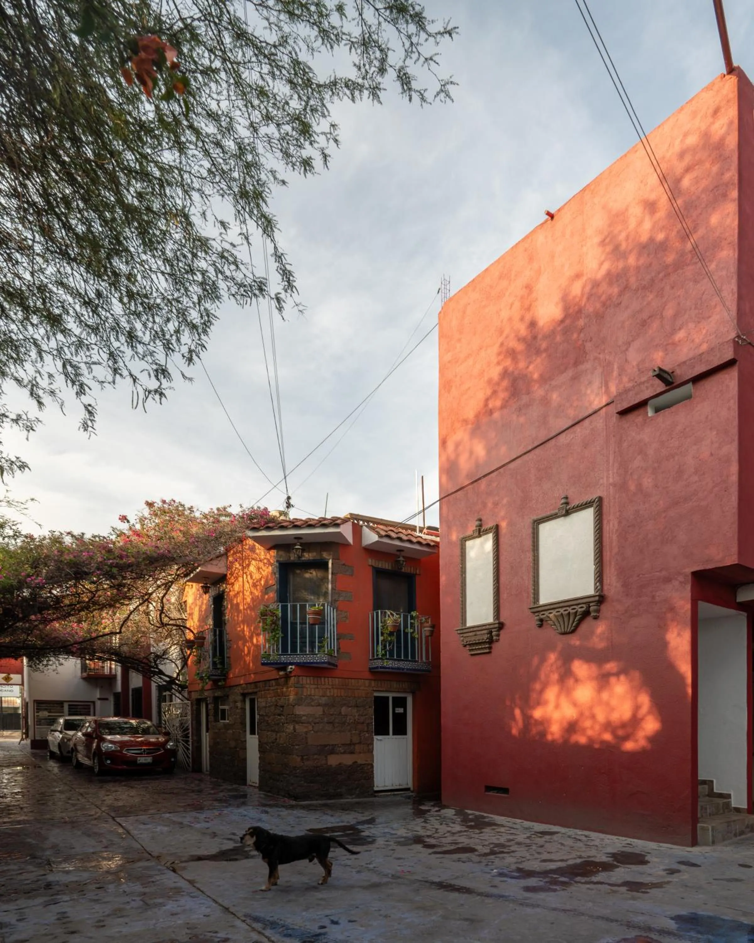 Day in Hotel Posada Bugambilias