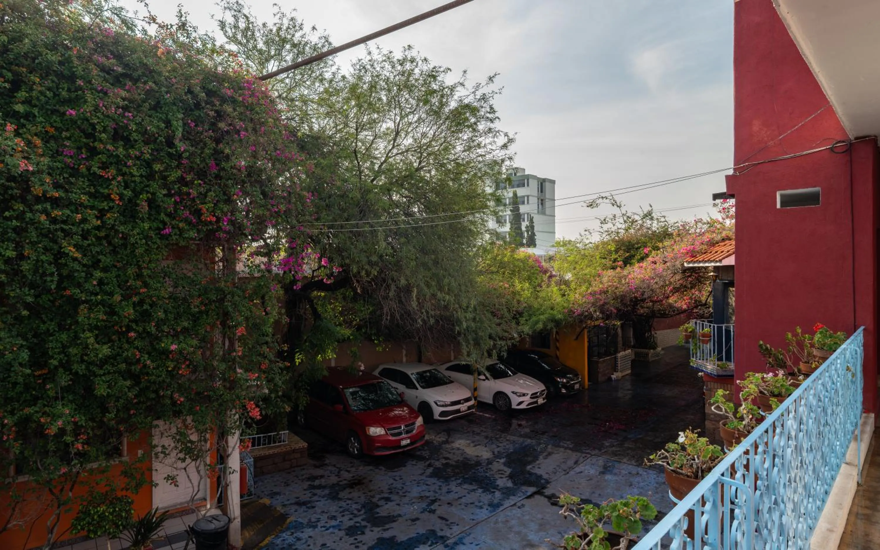 Property building in Hotel Posada Bugambilias