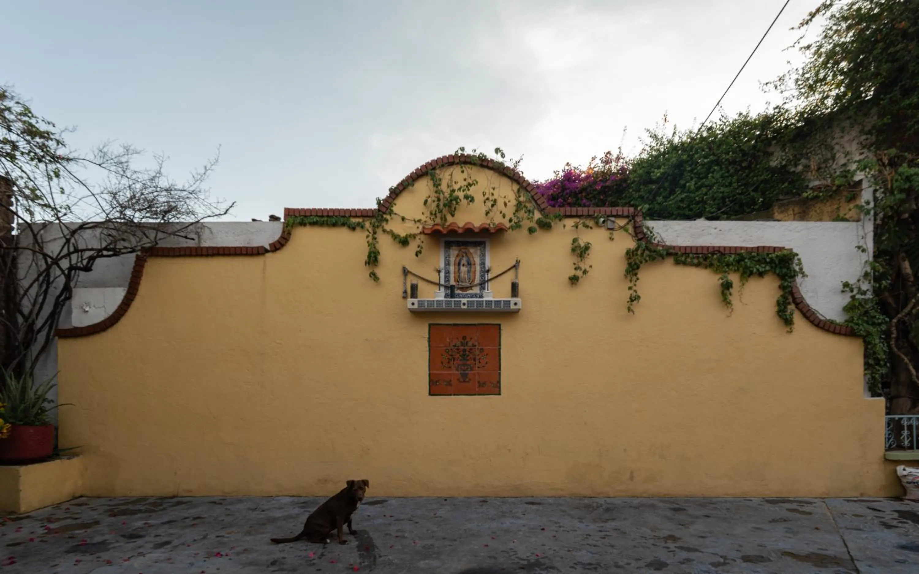 Day in Hotel Posada Bugambilias