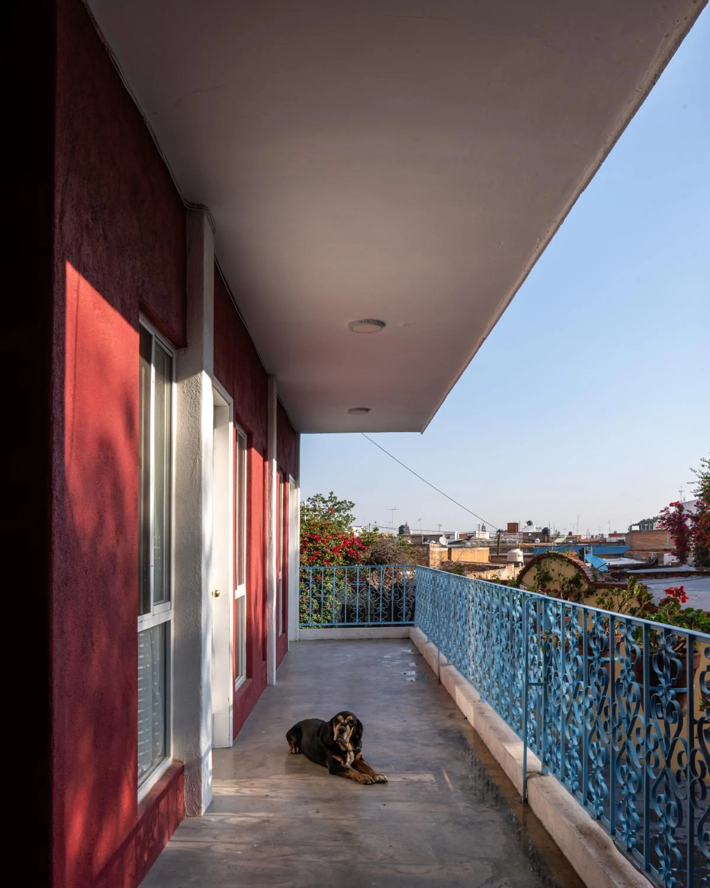 View (from property/room) in Hotel Posada Bugambilias