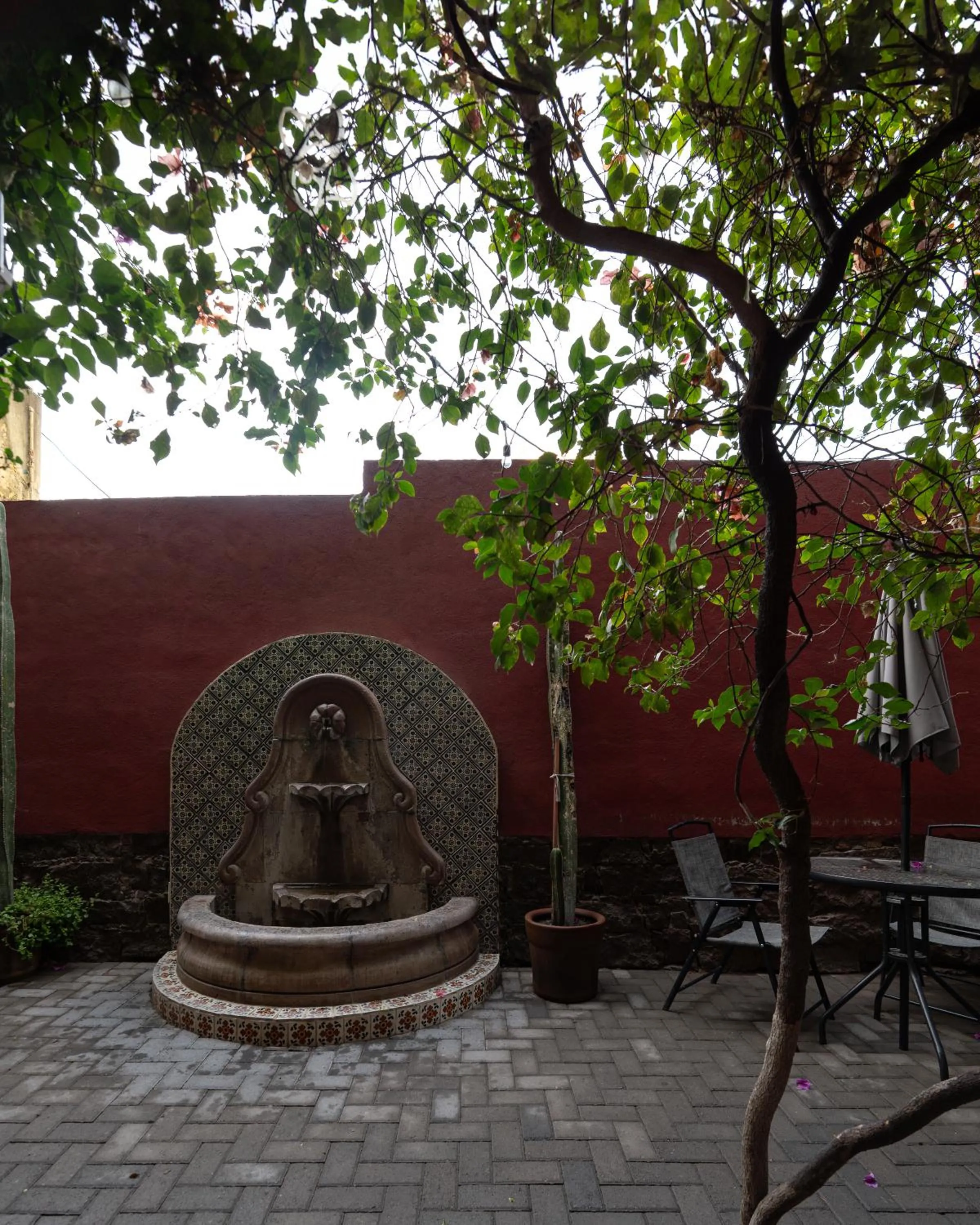 Day in Hotel Posada Bugambilias