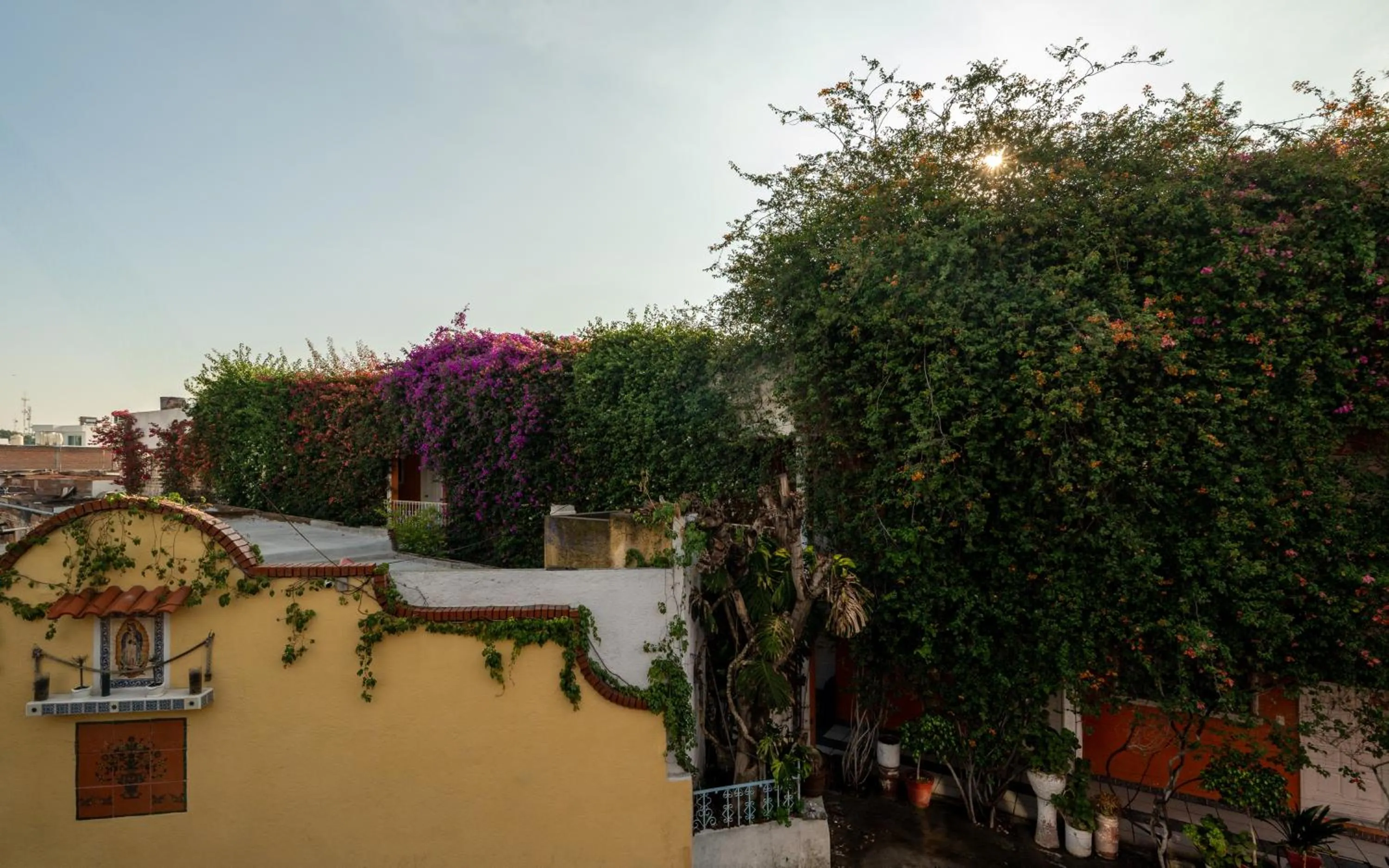 Property building in Hotel Posada Bugambilias