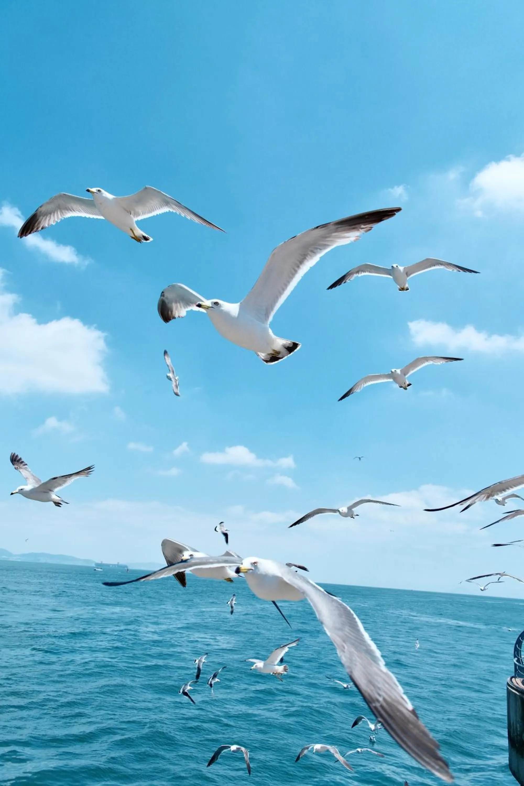 Natural landscape in Hampton by Hilton Qinhuangdao Jinmeng Bay