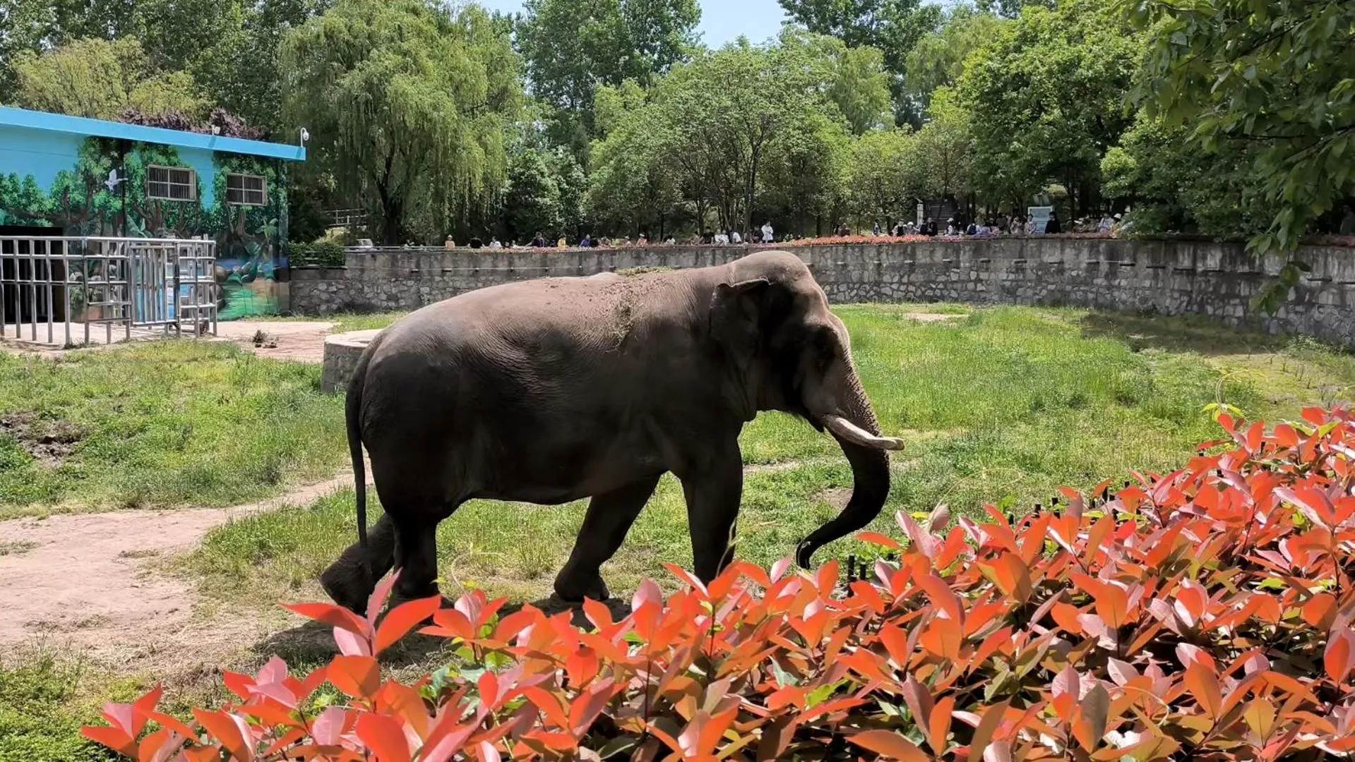 Hampton by Hilton Qinhuangdao Jinmeng Bay