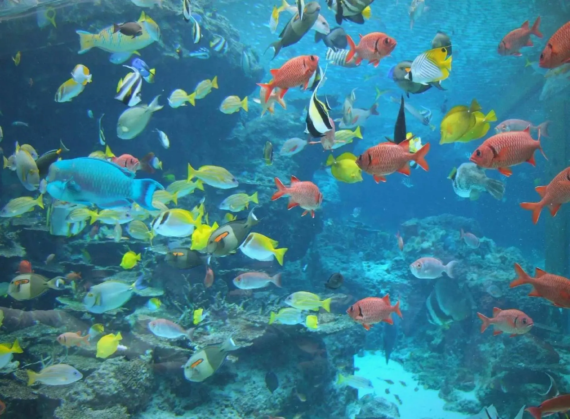 Hampton by Hilton Qinhuangdao Jinmeng Bay