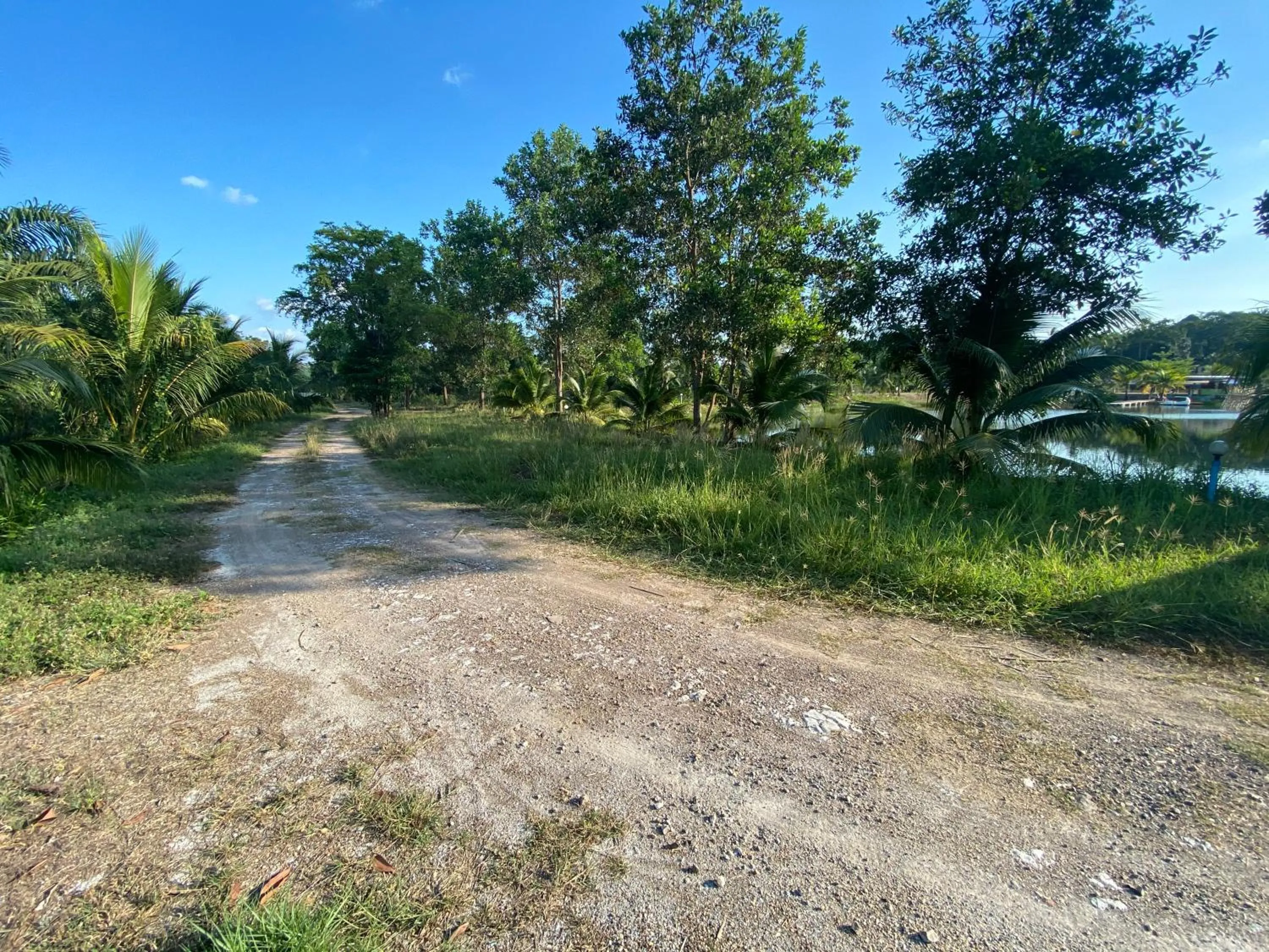 Neighbourhood in Mulberry resort