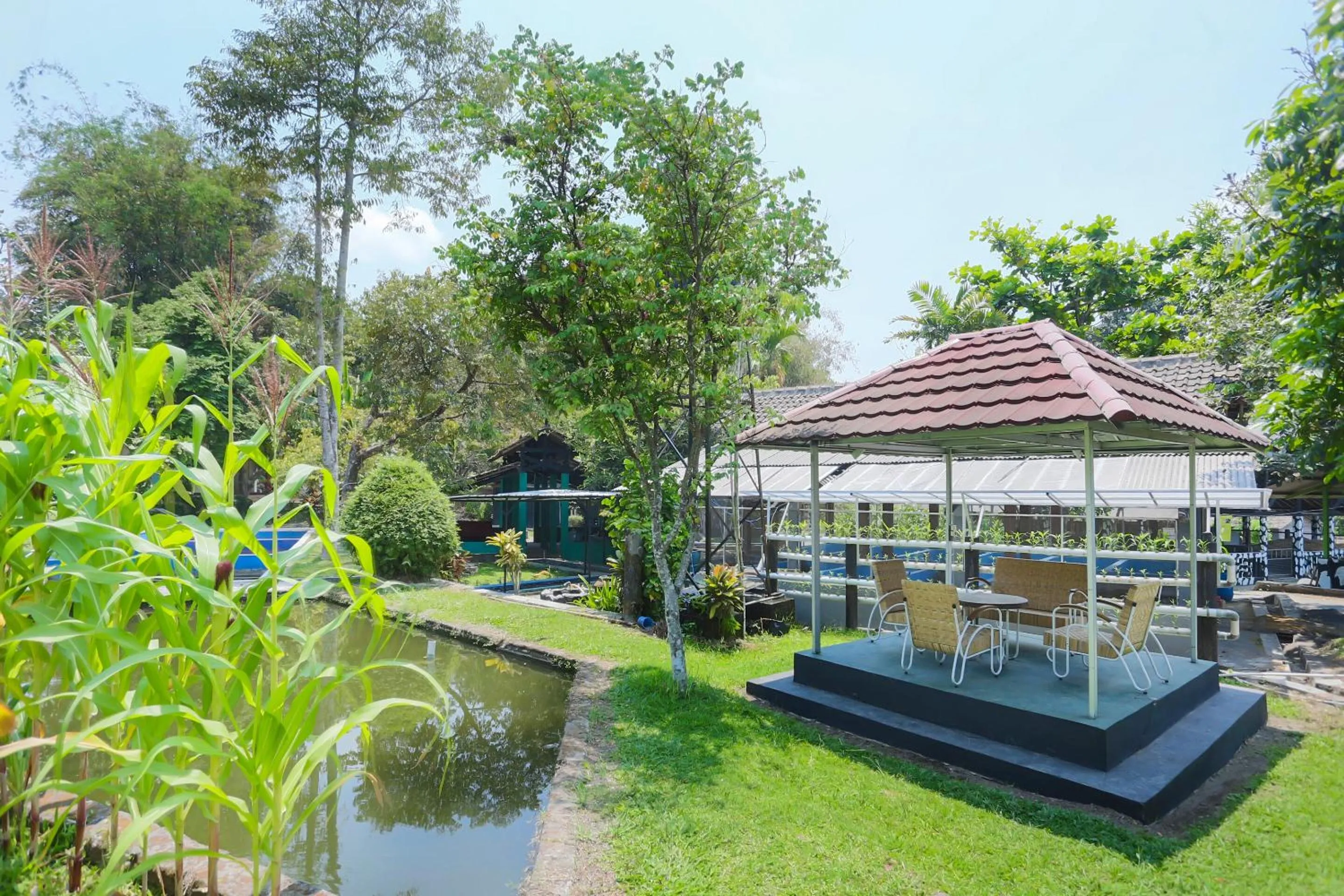Garden in Hotel O Penginapan Kepurun Pawana Indonesia