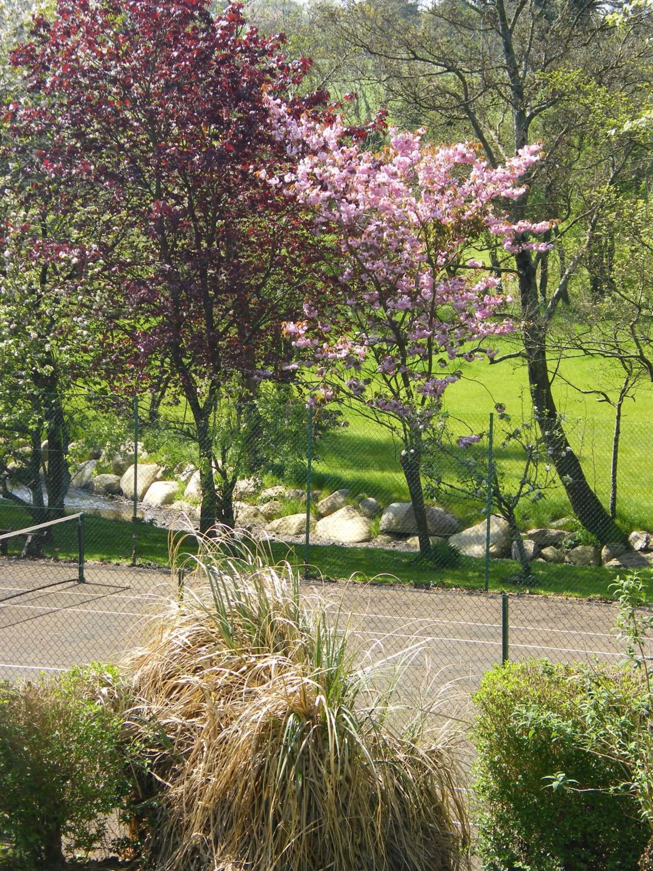 Tennis court in Riverfield Bed and Breakfast
