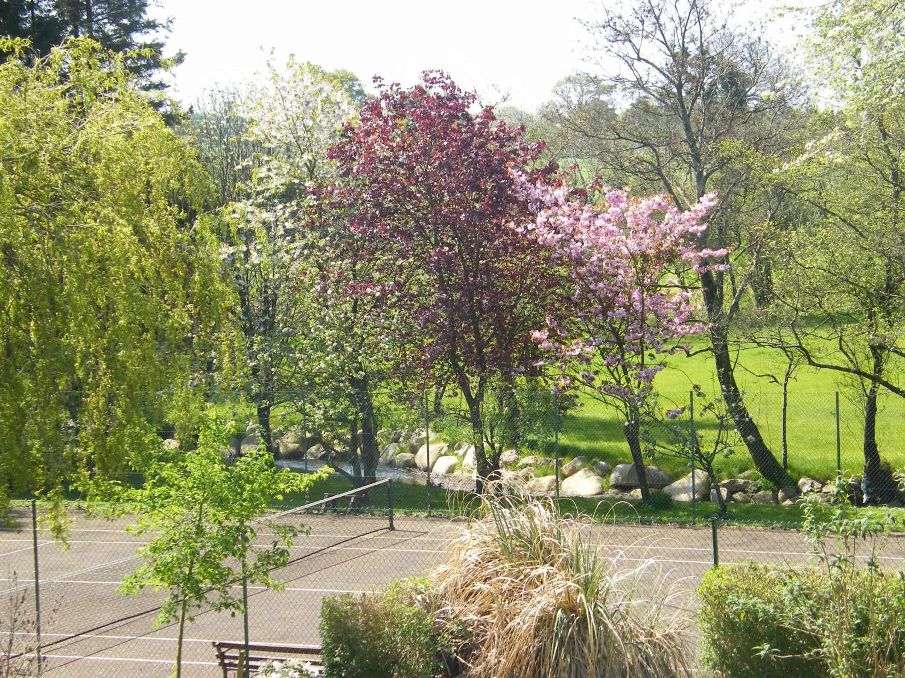 Tennis court in Riverfield Bed and Breakfast
