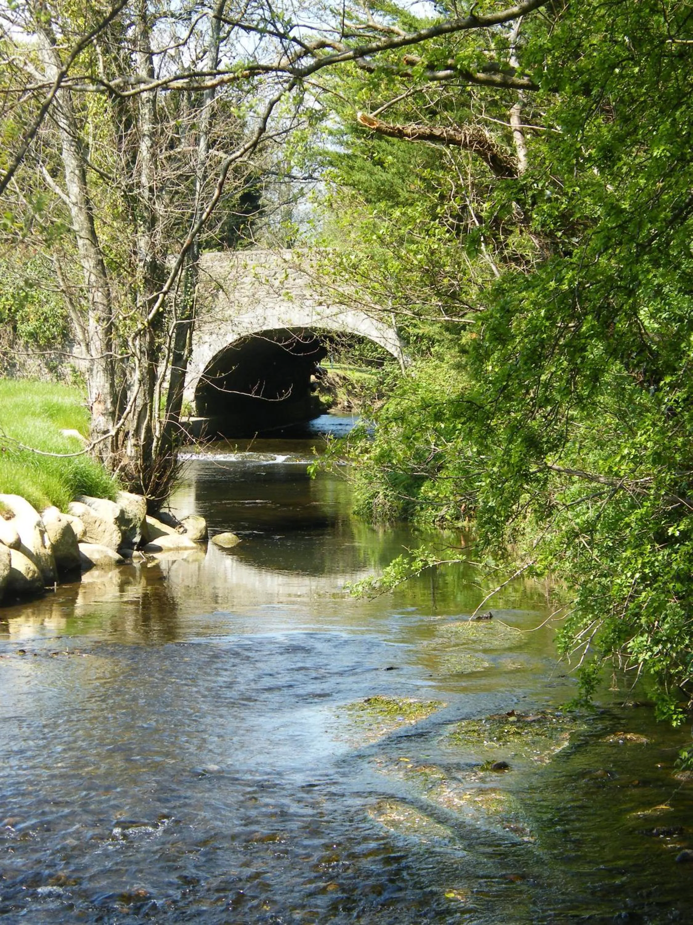 River view in Riverfield Bed and Breakfast