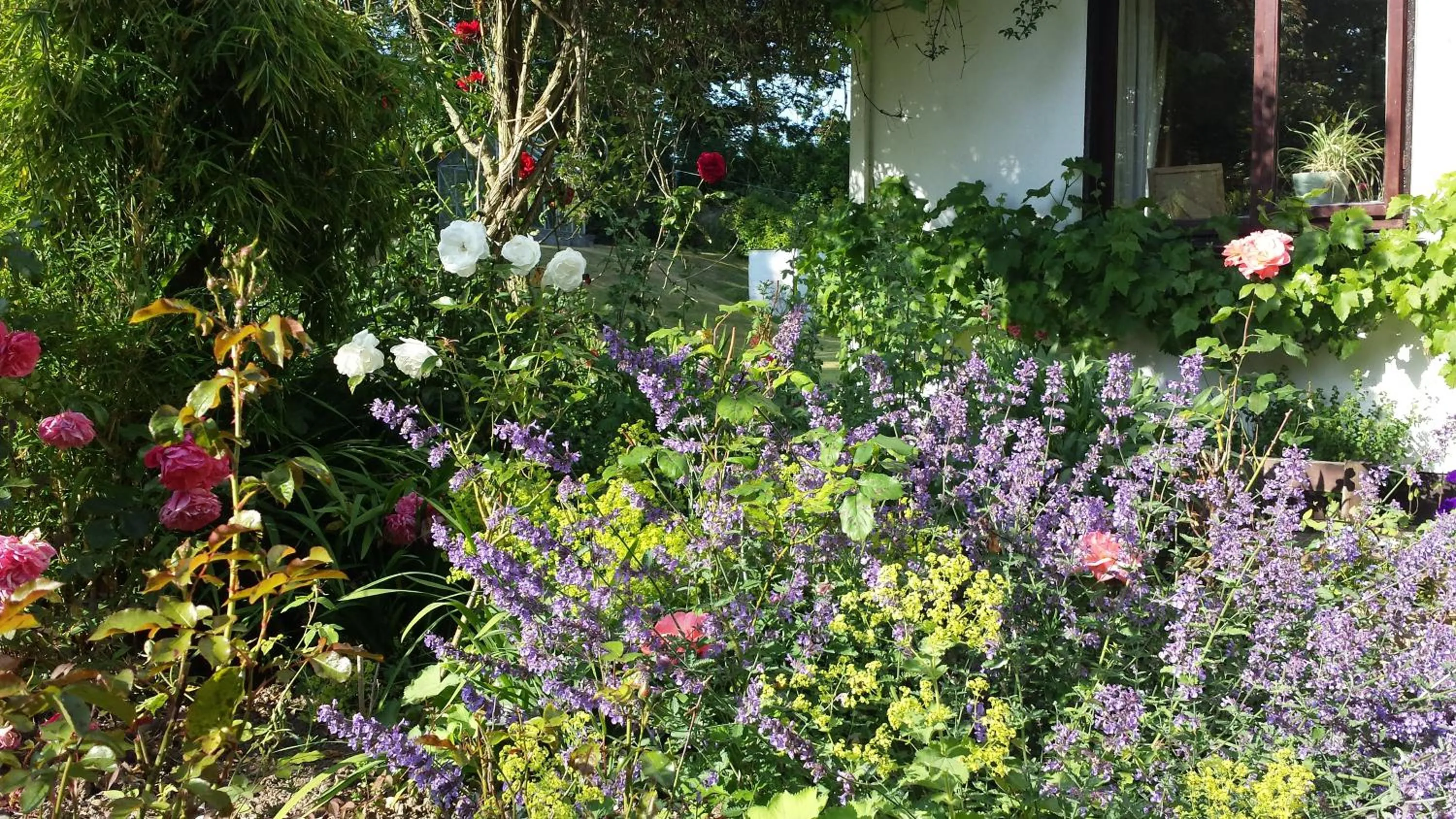 Garden in Riverfield Bed and Breakfast