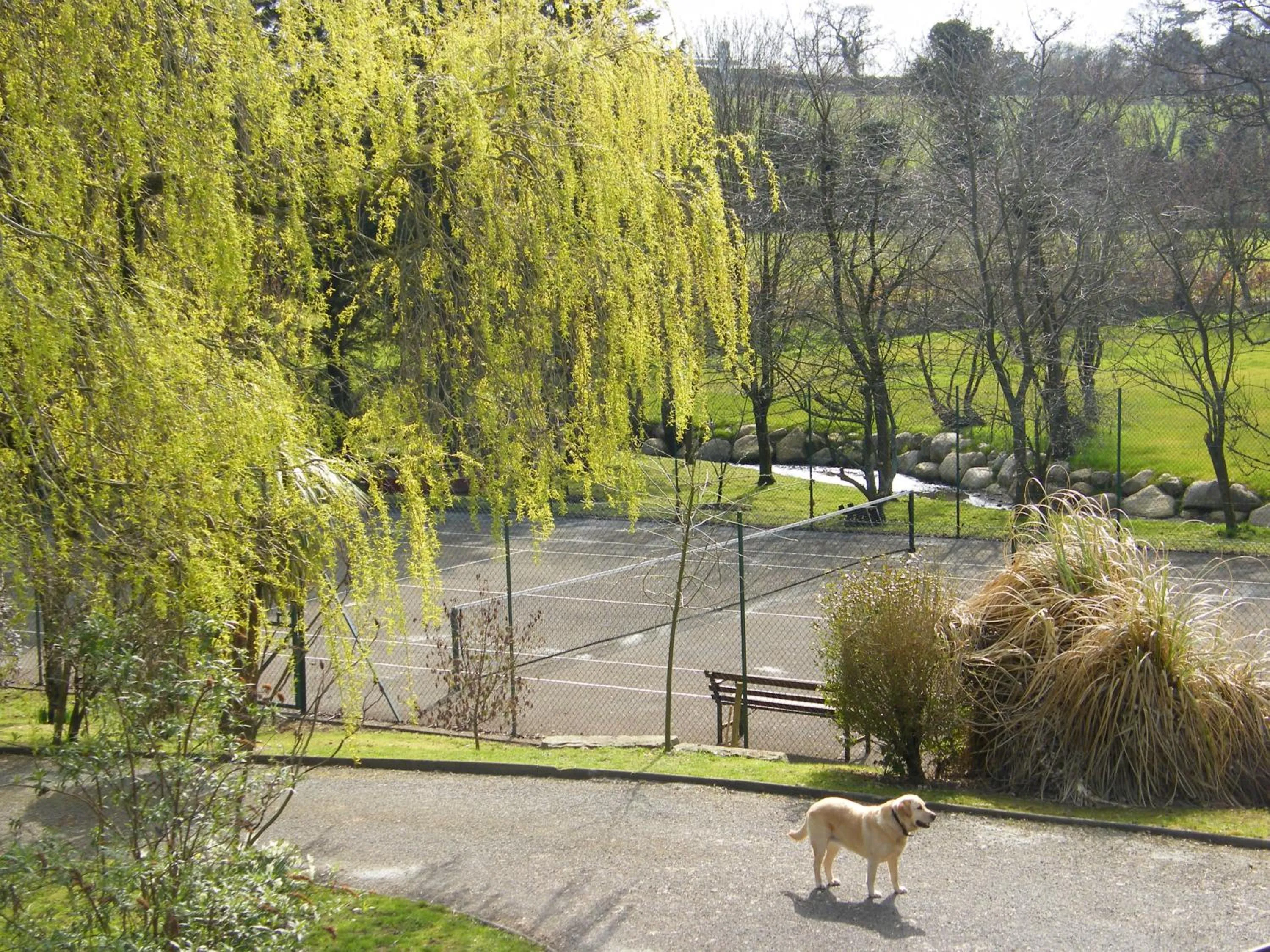 Tennis court in Riverfield Bed and Breakfast