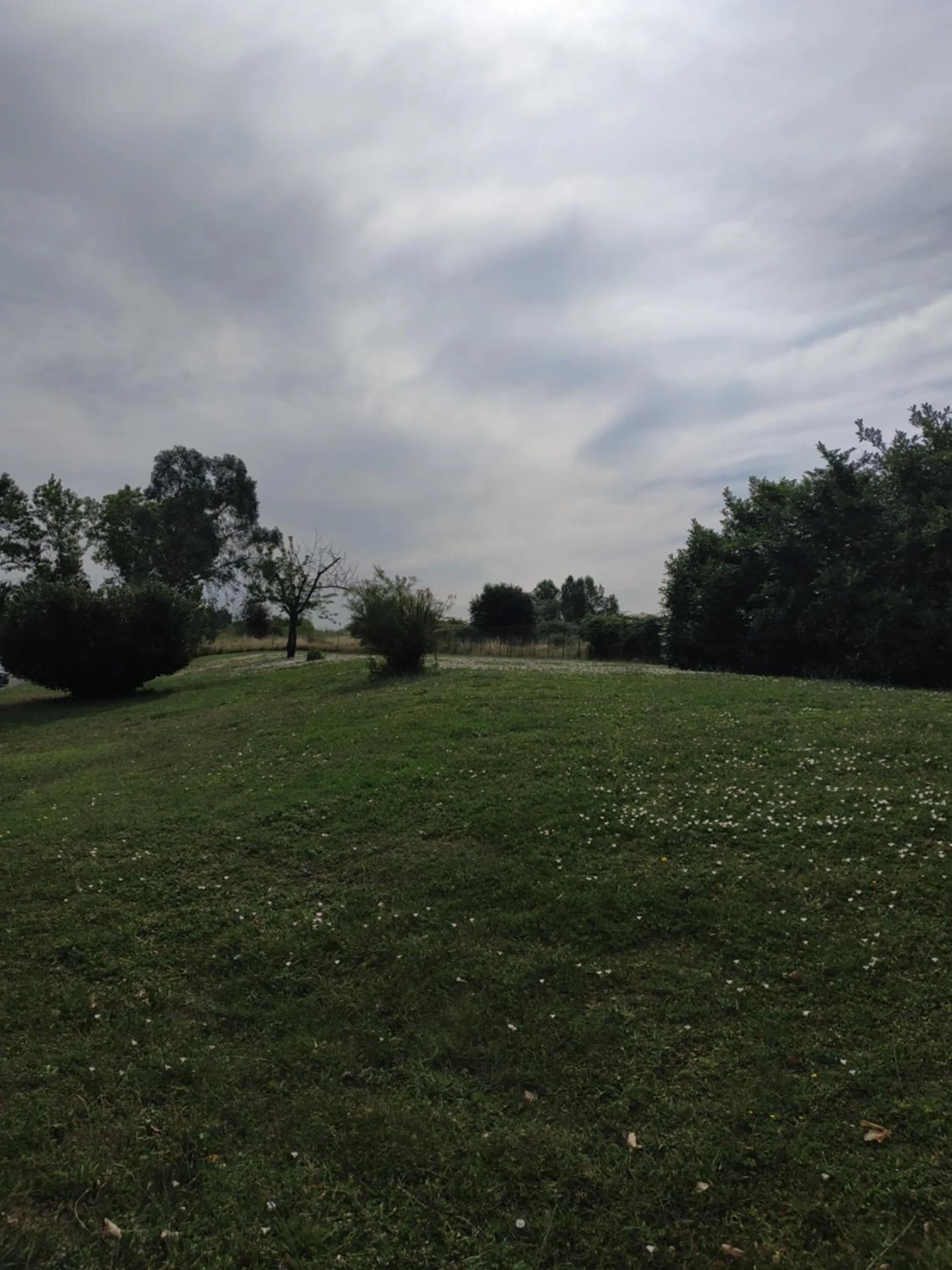 Natural landscape in Hotel - Restaurant du Lac - Agen