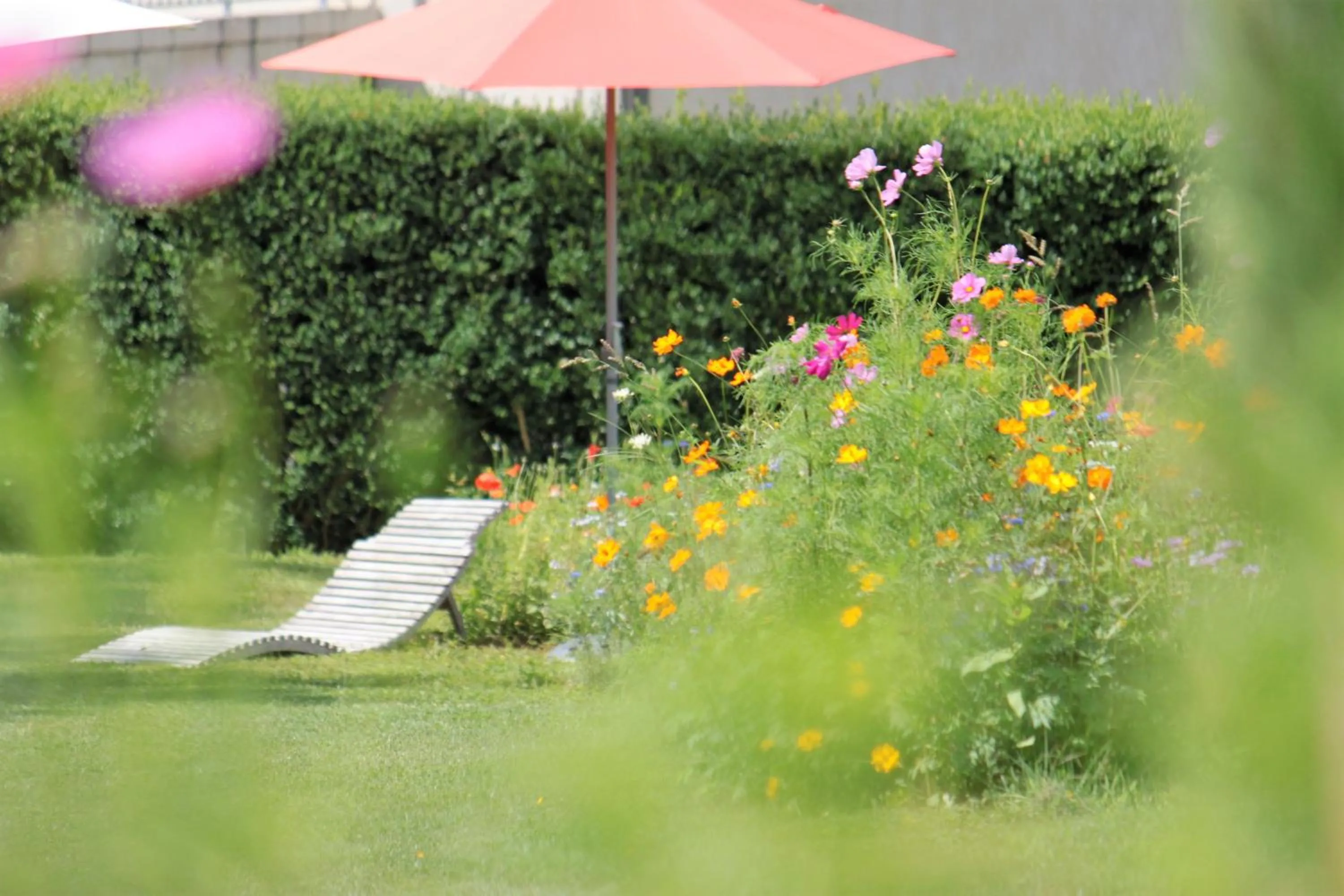 Garden view in Domaine Le Broual