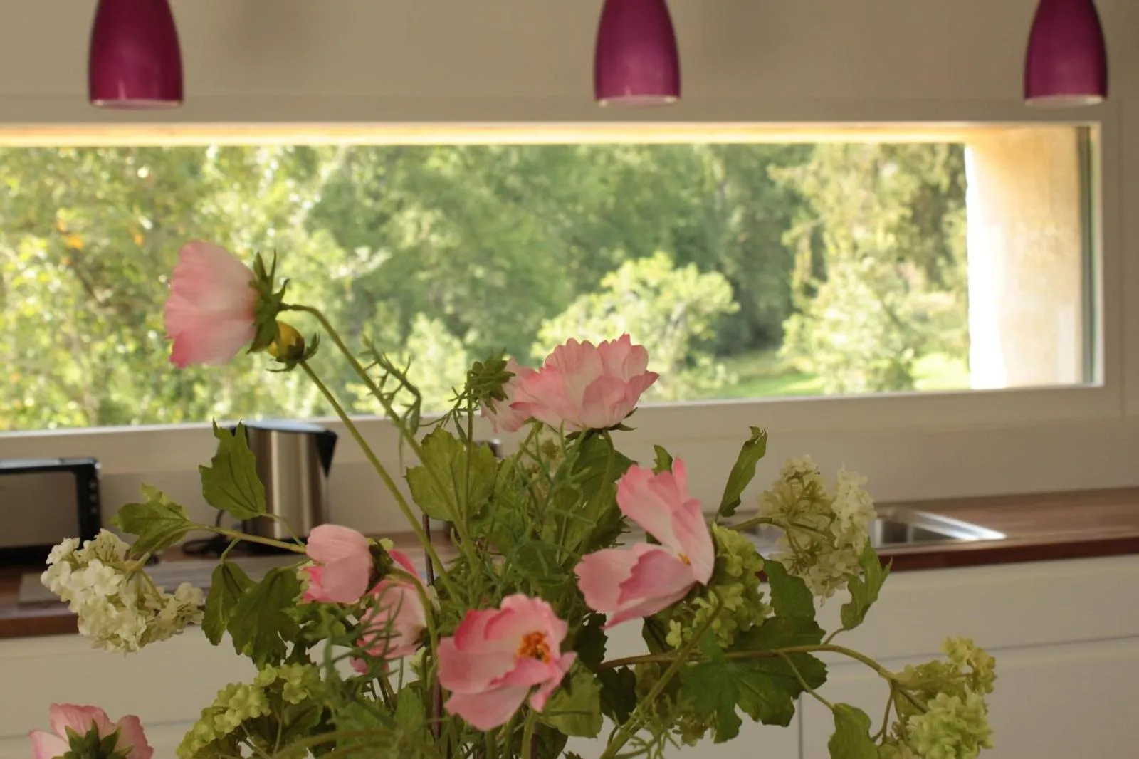 Garden view in Domaine Le Broual