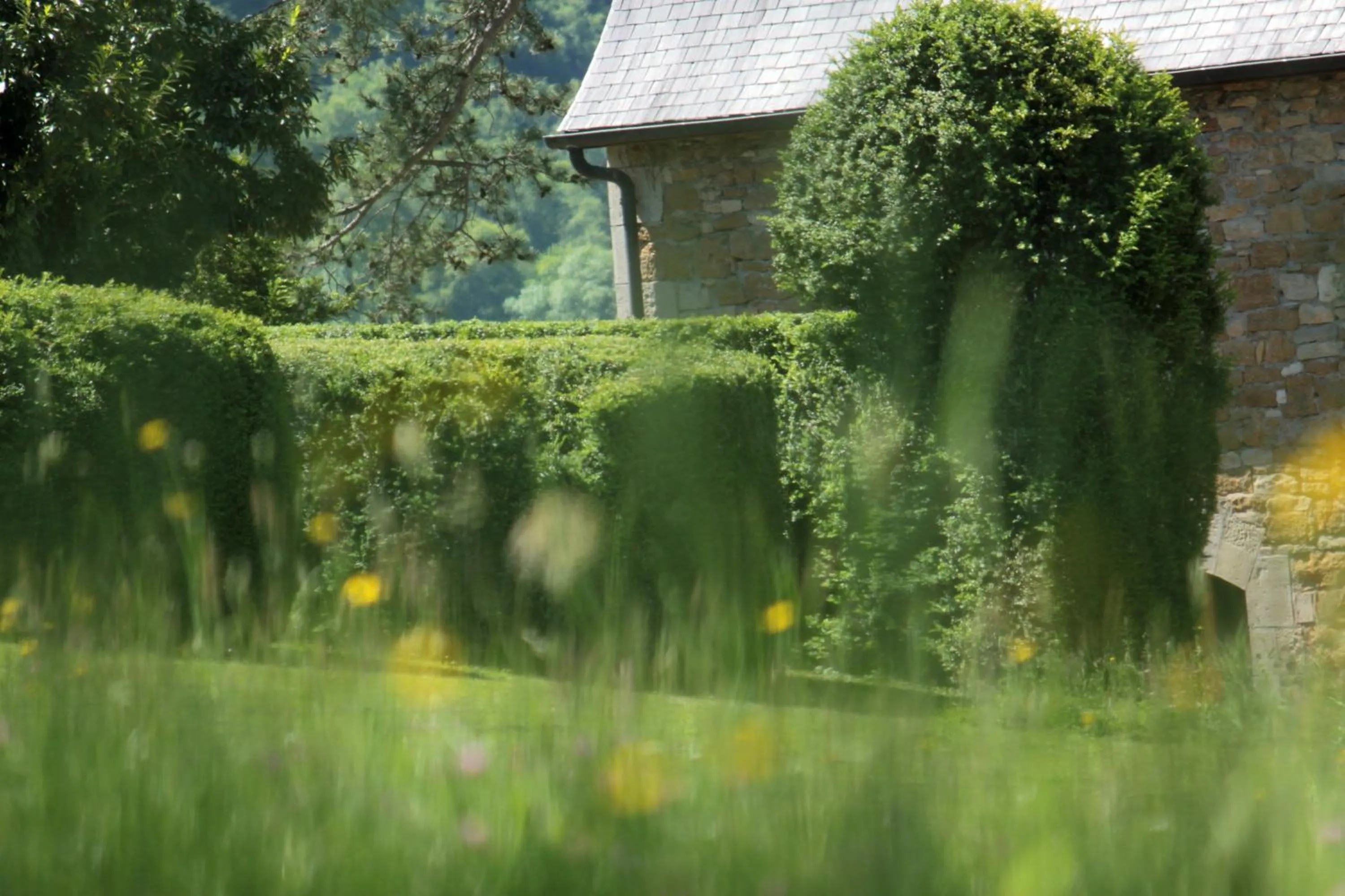 Garden in Domaine Le Broual