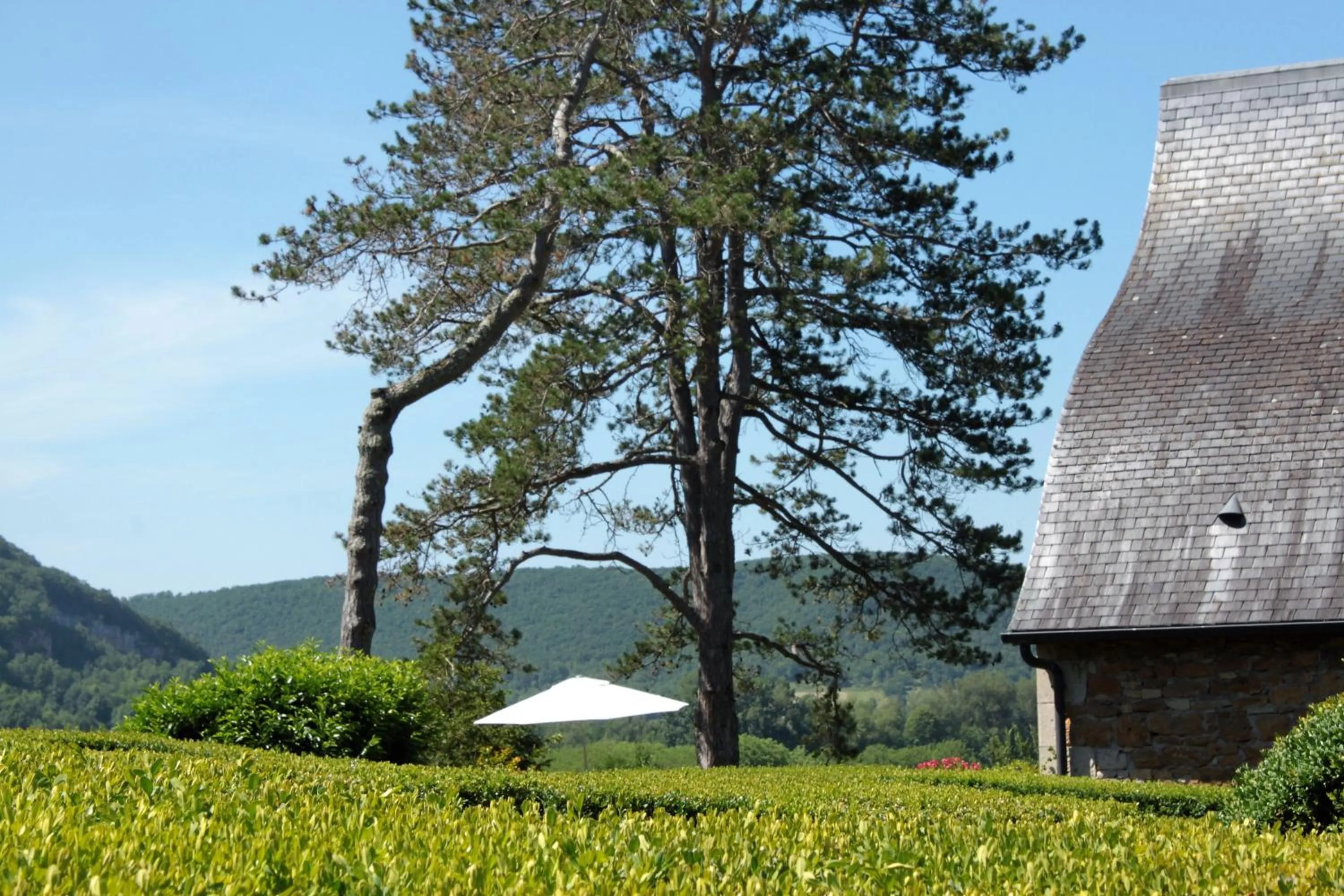 Garden view in Domaine Le Broual
