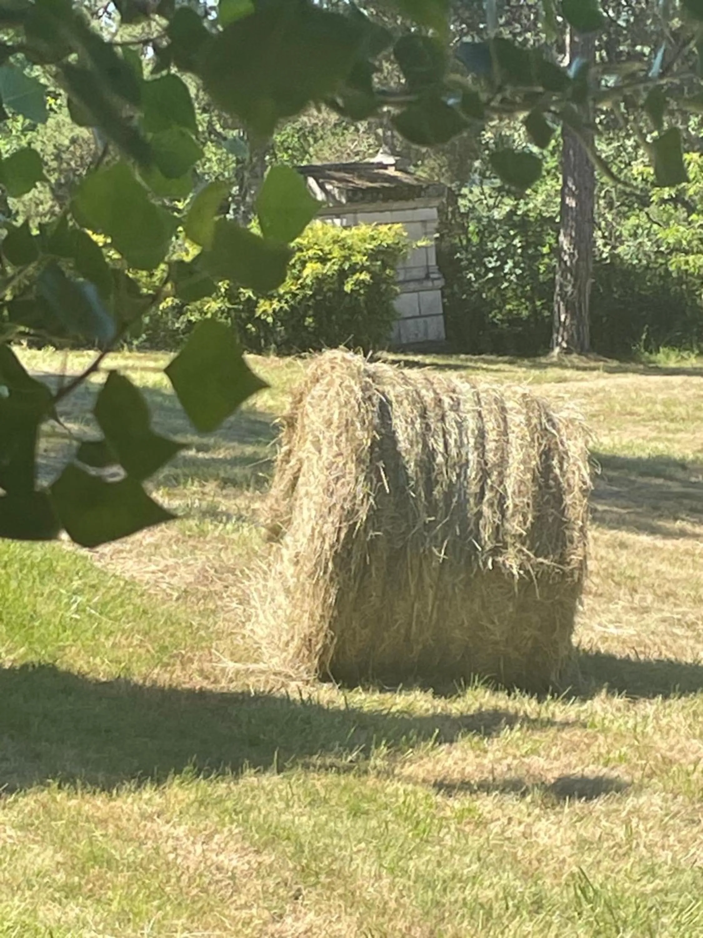 Garden view in Domaine Le Broual