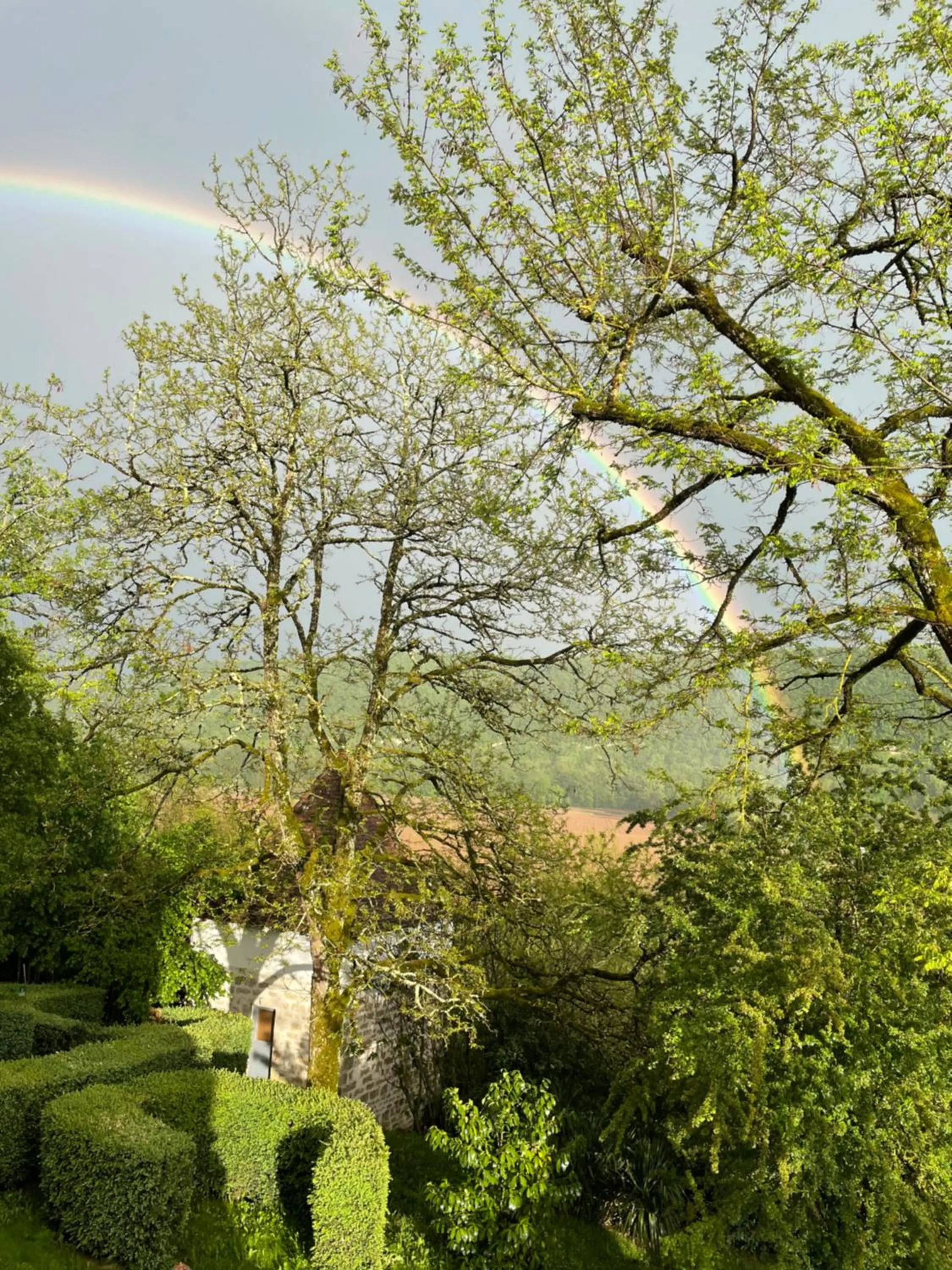 Natural landscape in Domaine Le Broual