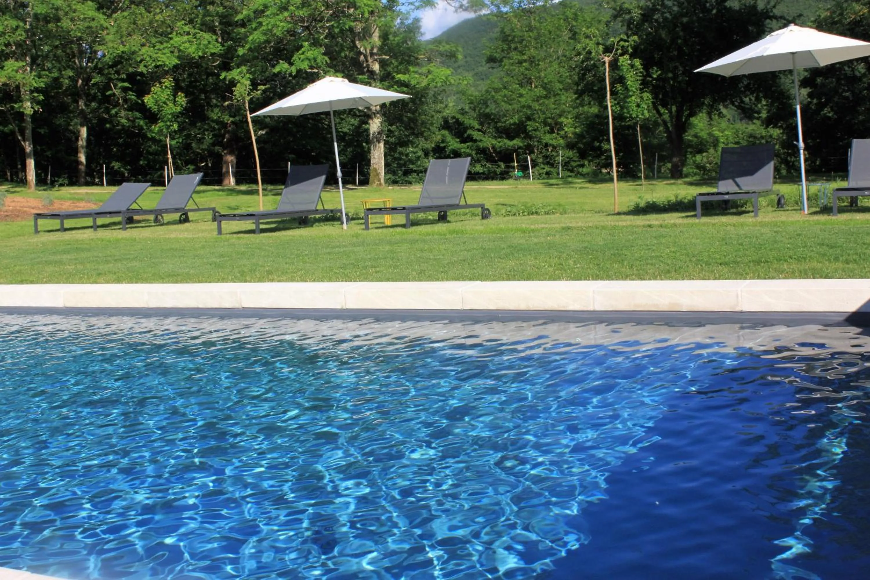 Swimming pool in Domaine Le Broual