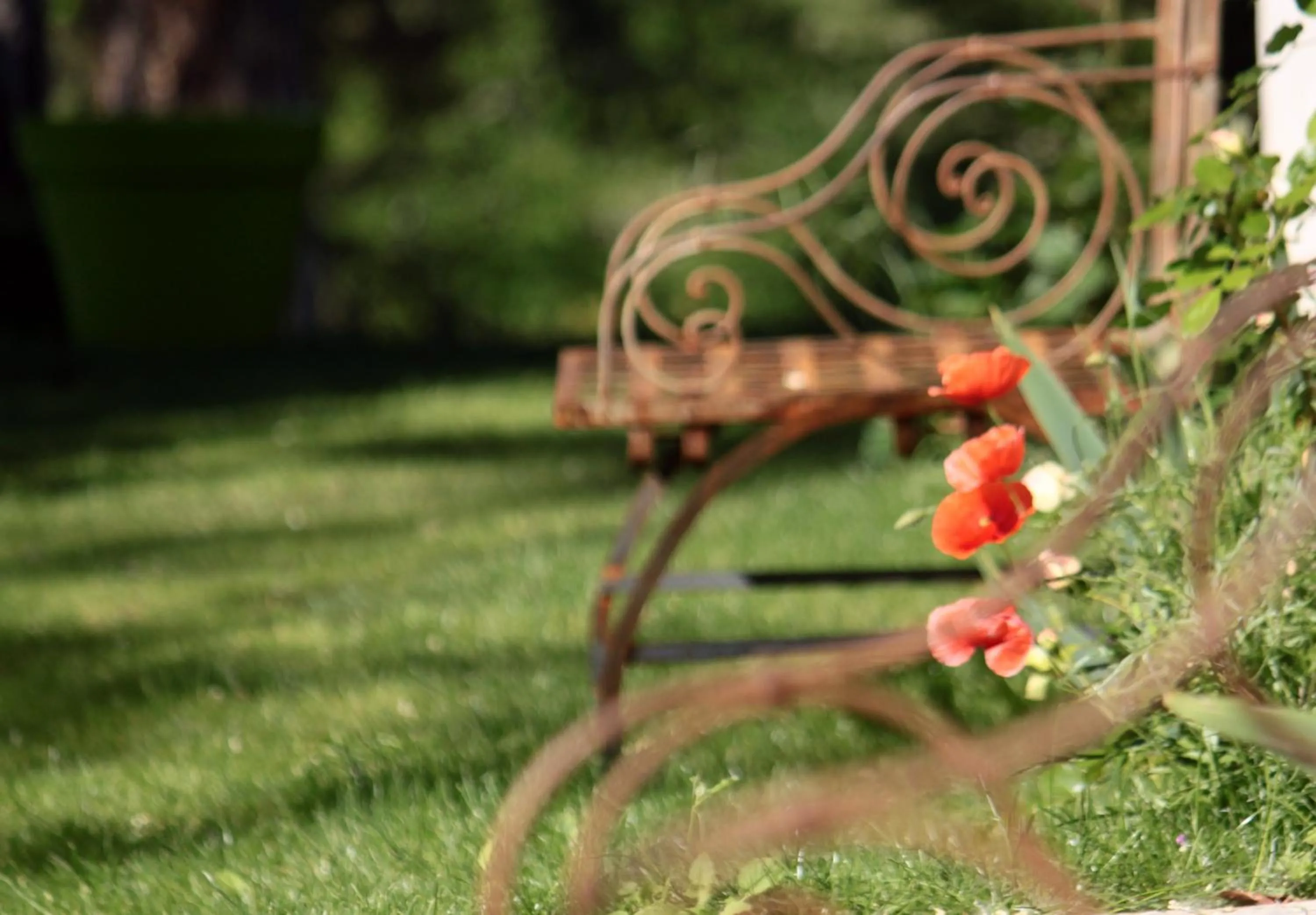 Garden in Domaine Le Broual