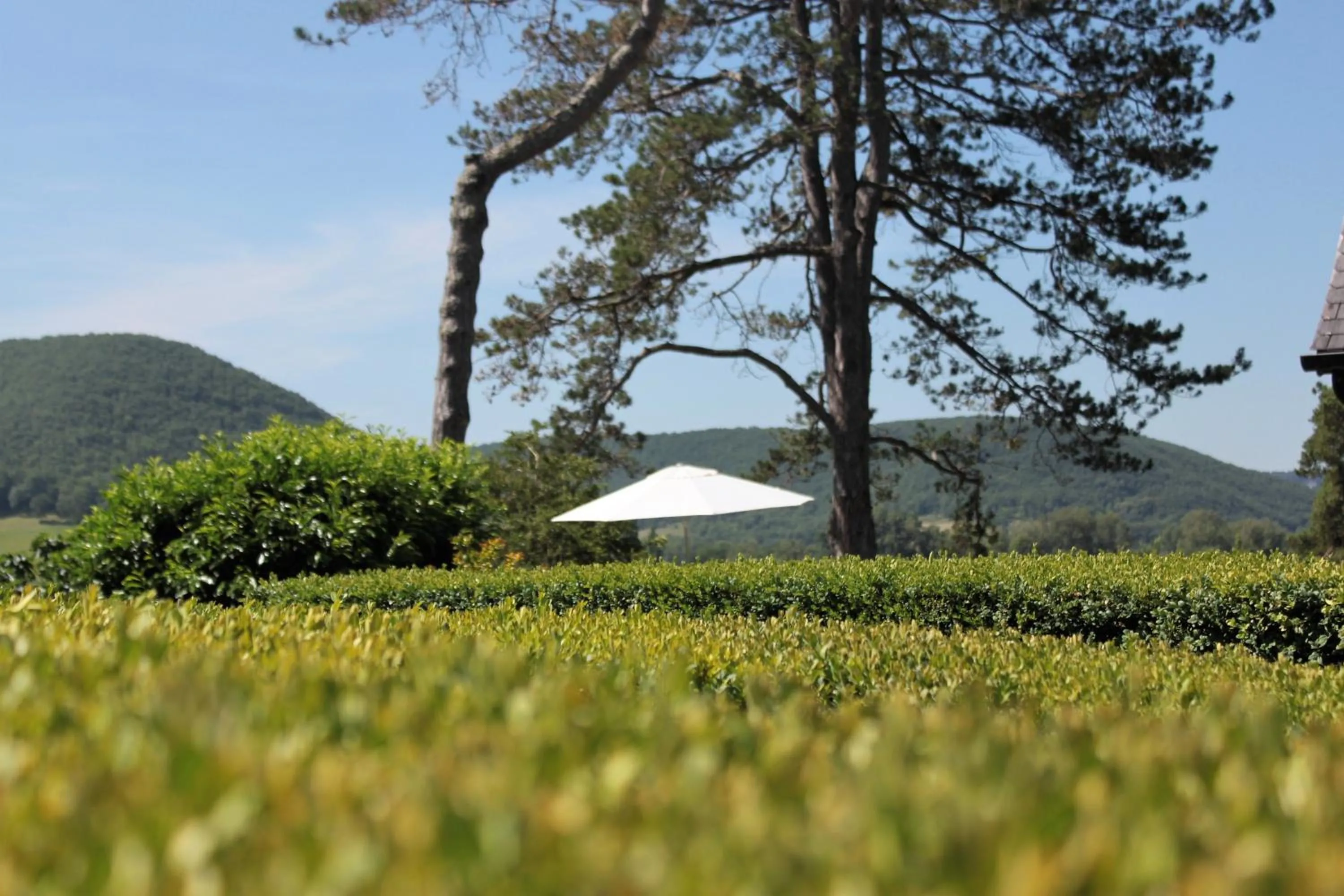 Garden view in Domaine Le Broual