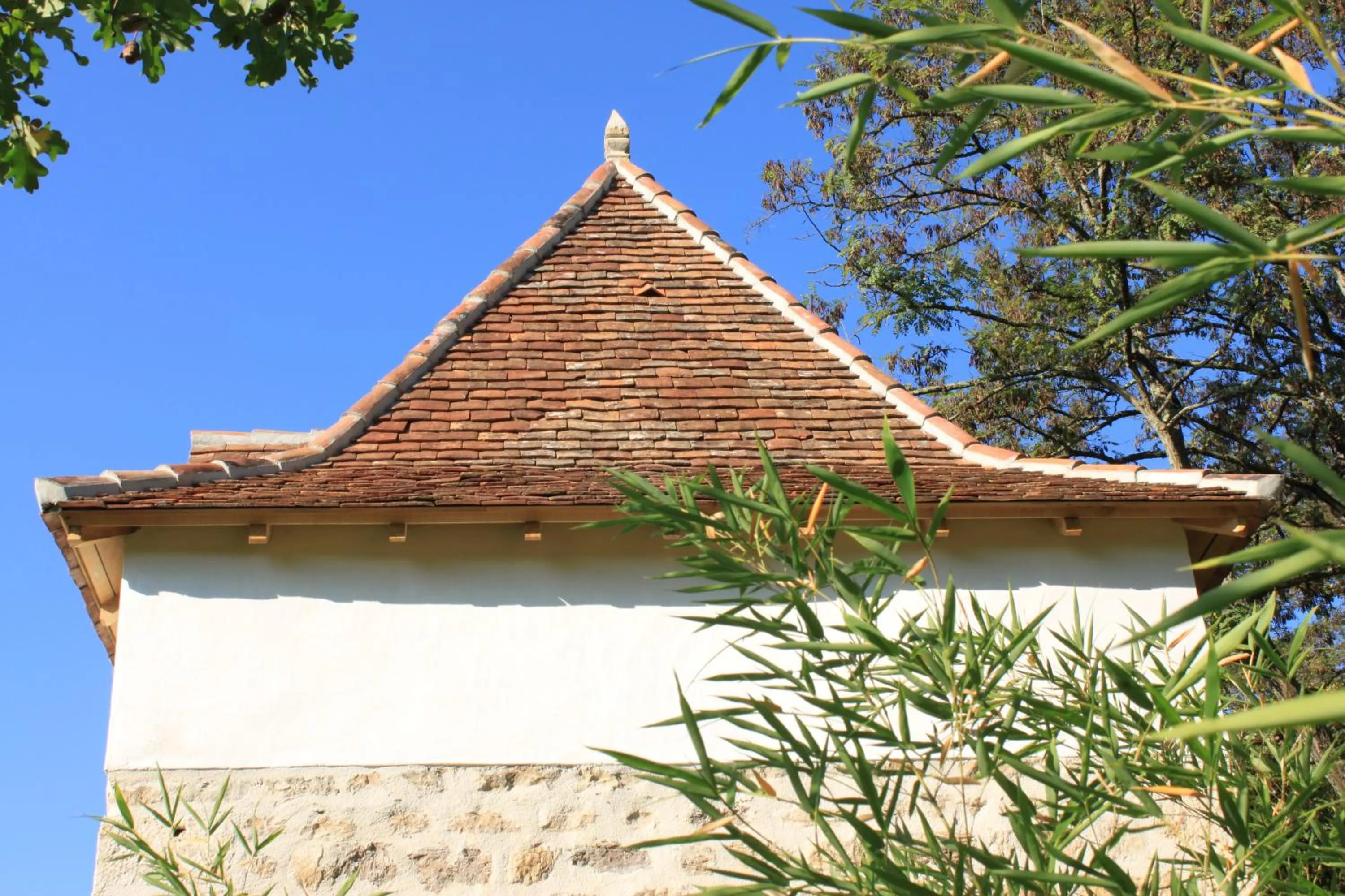 Garden in Domaine Le Broual