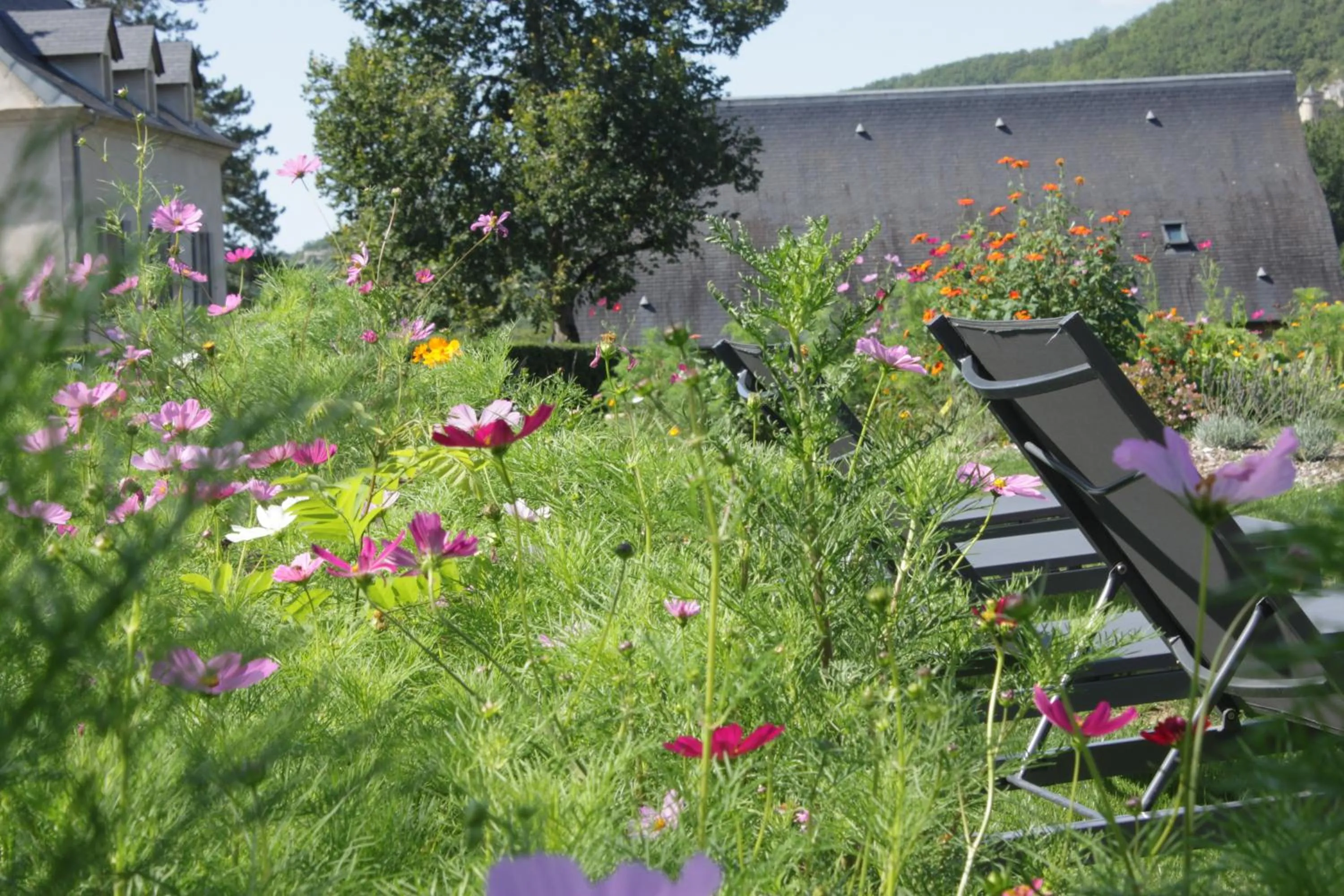 Garden view in Domaine Le Broual