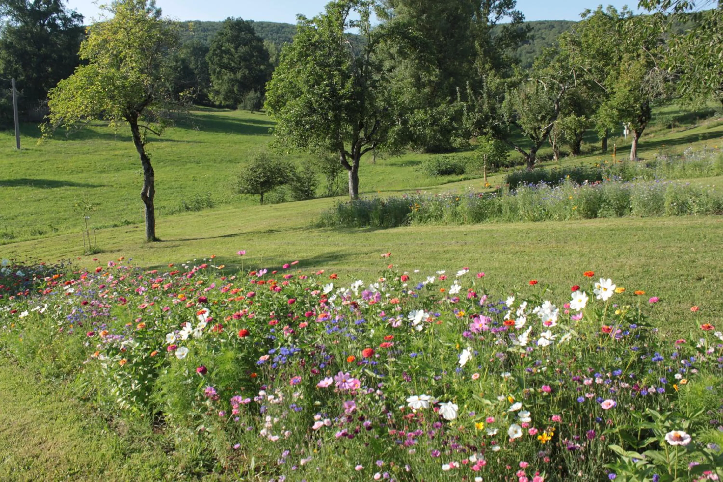 Garden in Domaine Le Broual