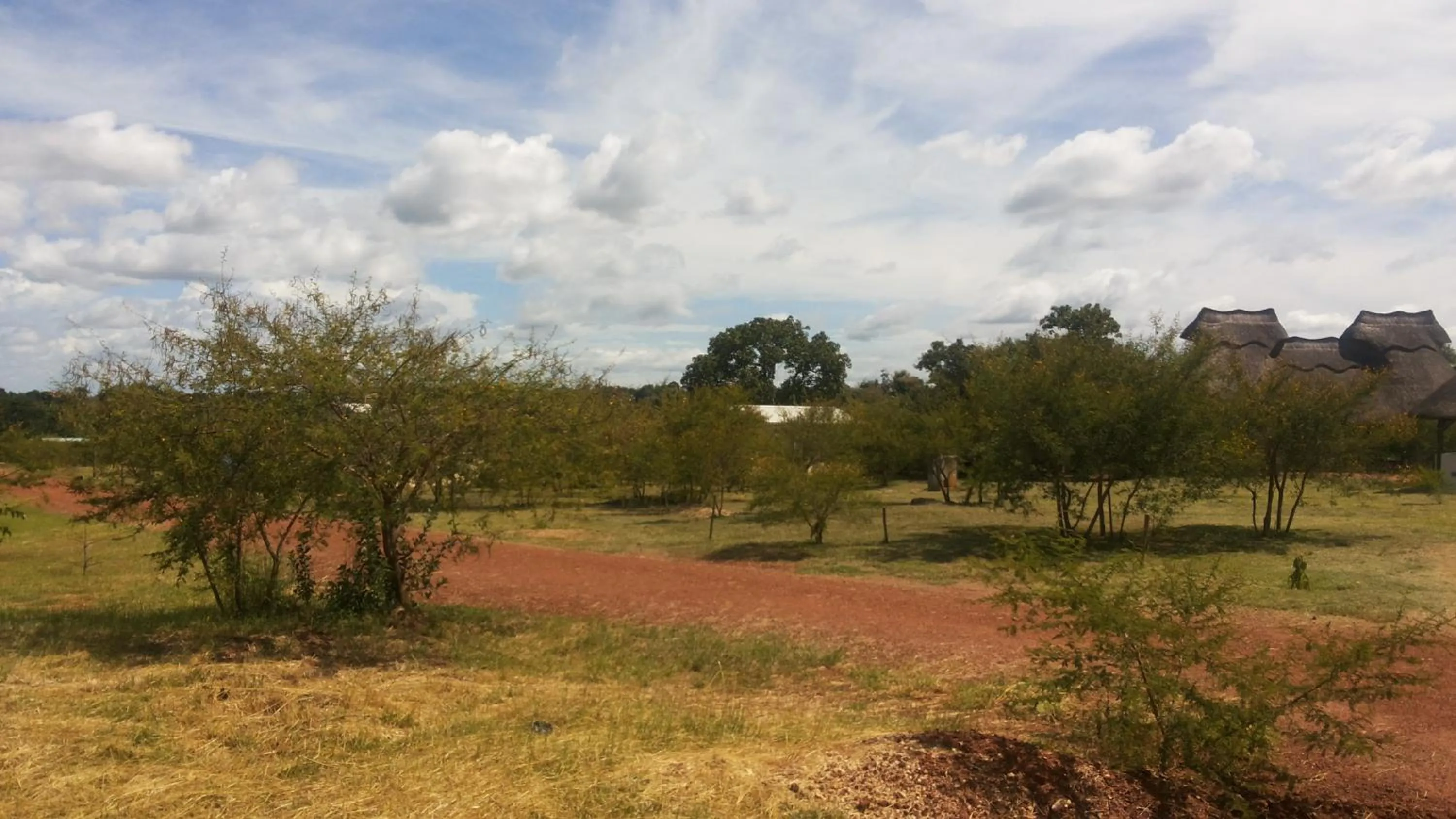 Natural landscape in Terrain Hotel