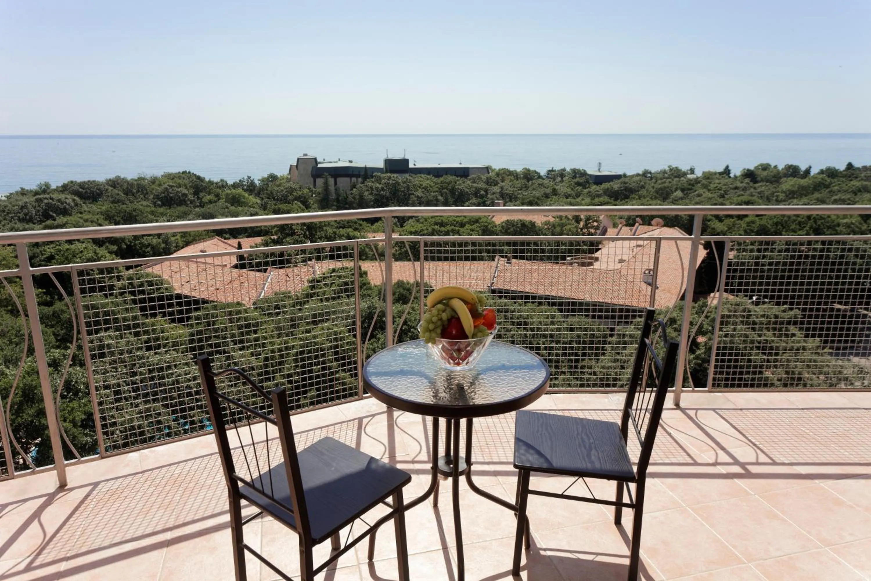Balcony/Terrace in Elena Hotel and Wellness - All Inclusive