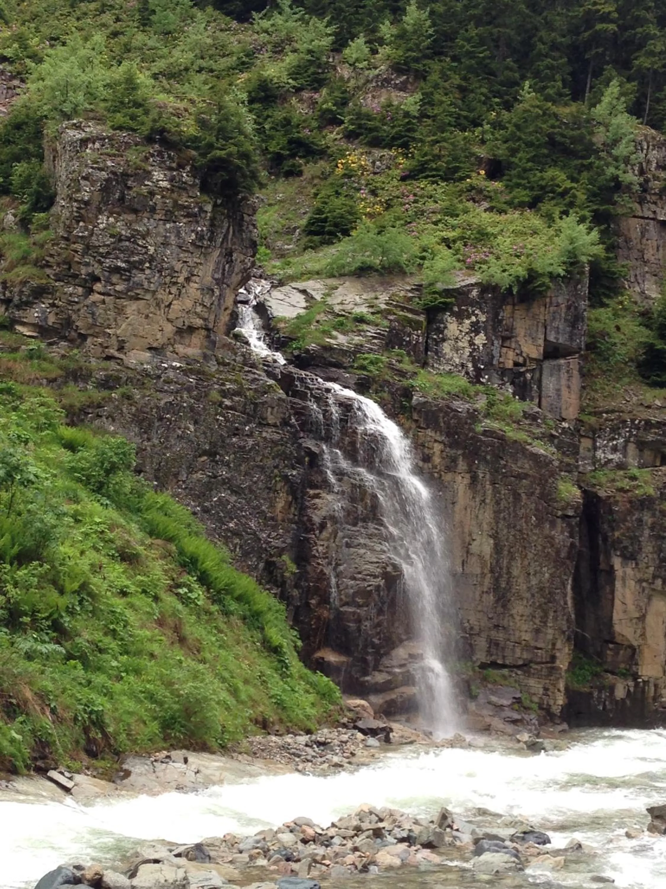 Area and facilities in Yedigoller Hotel & Restaurant