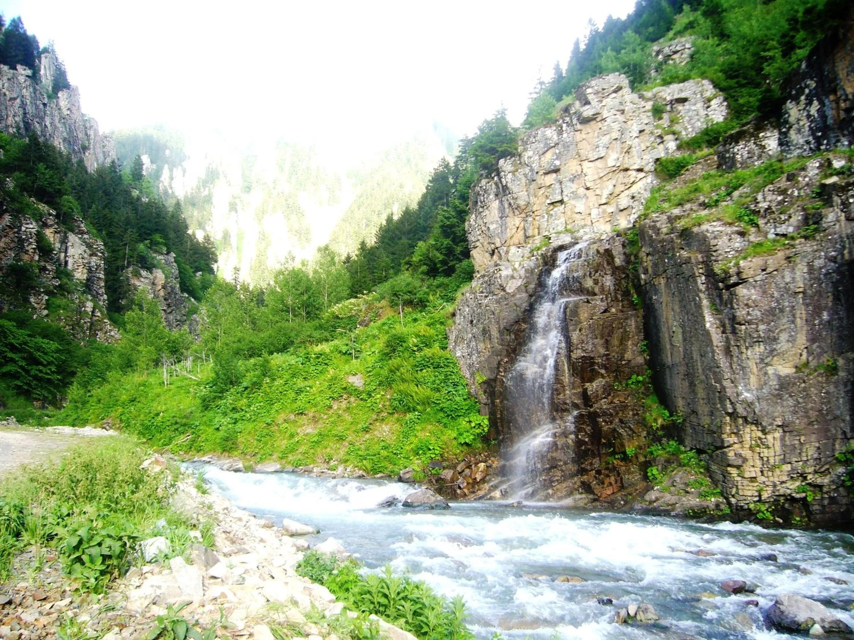 Area and facilities in Yedigoller Hotel & Restaurant