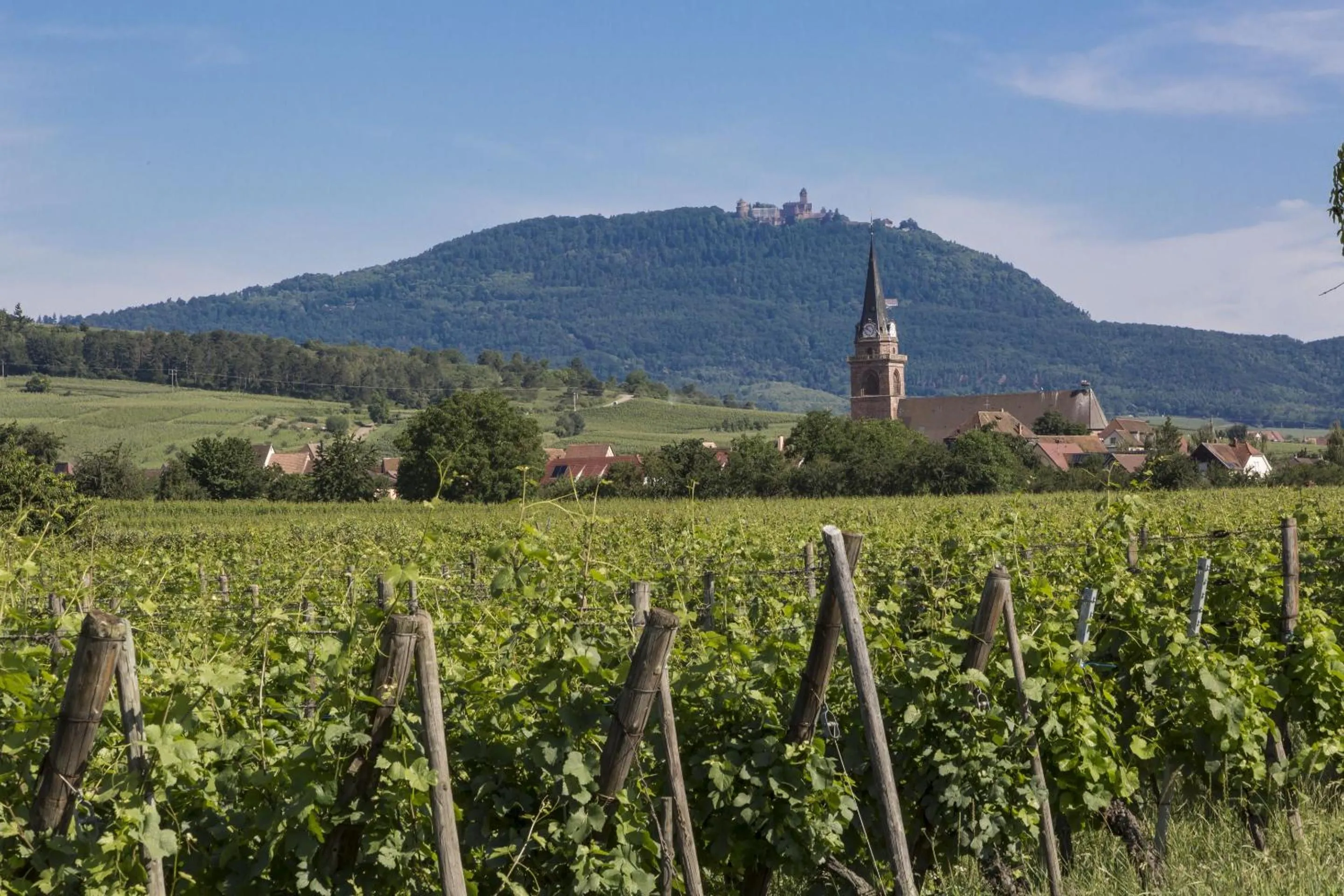 Natural landscape in Résidence Odalys Le Domaine des Rois