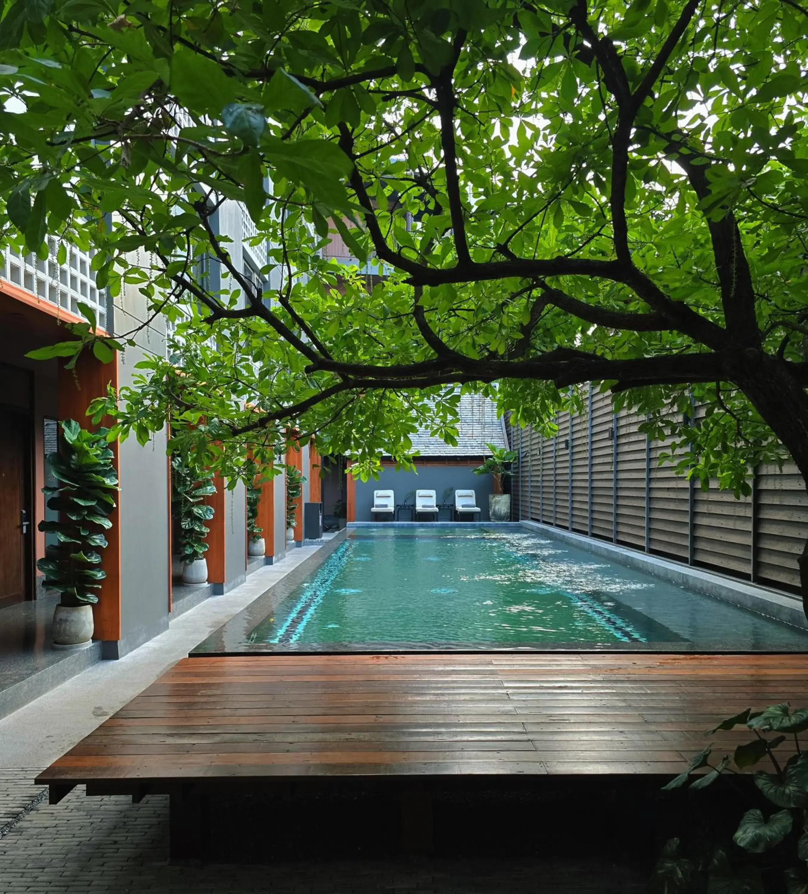 Pool view in Hotel Loy Chiang Mai Pool view in Hotel Loy Chiang Mai