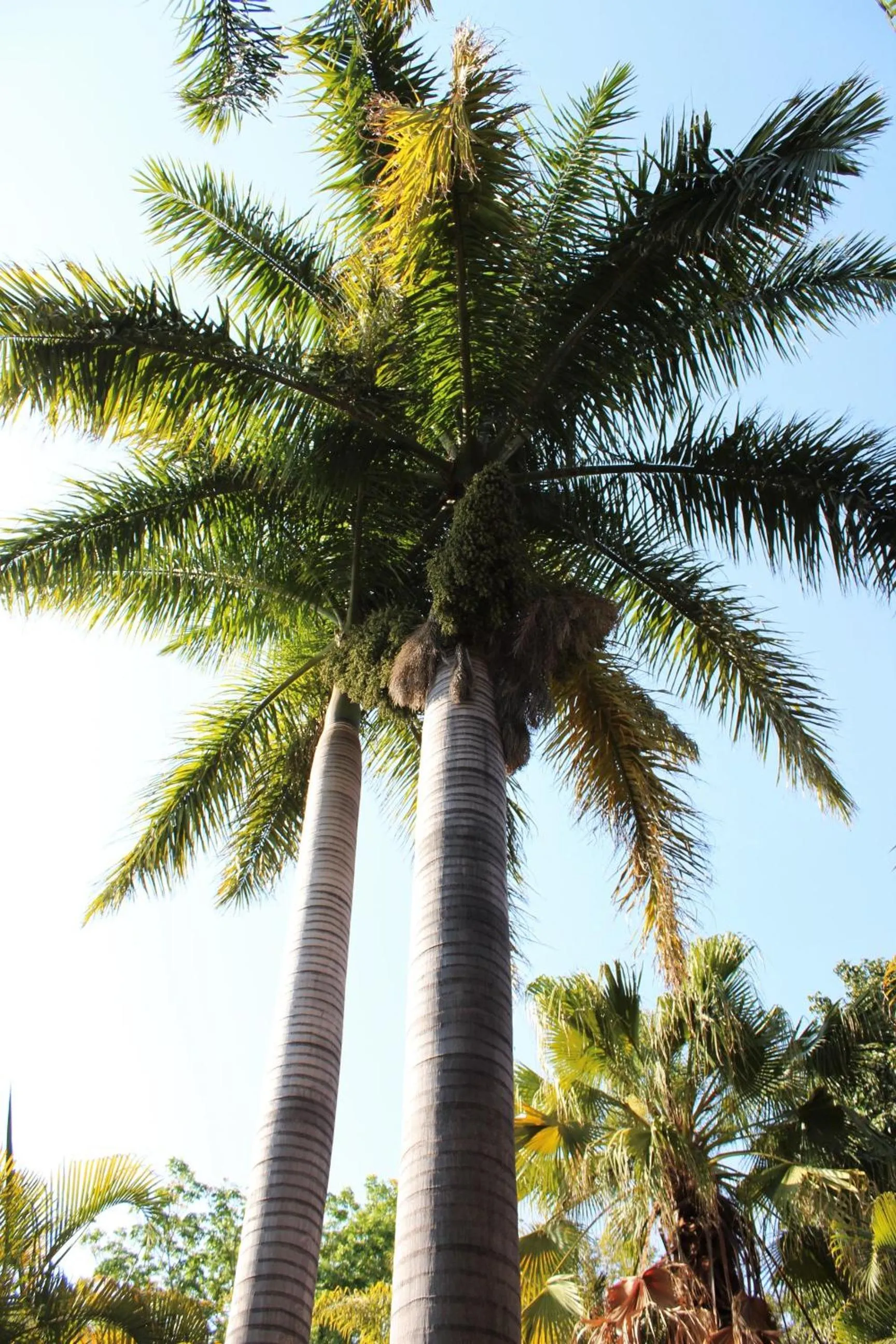 Garden view in Ngwenya Boutique Hotel