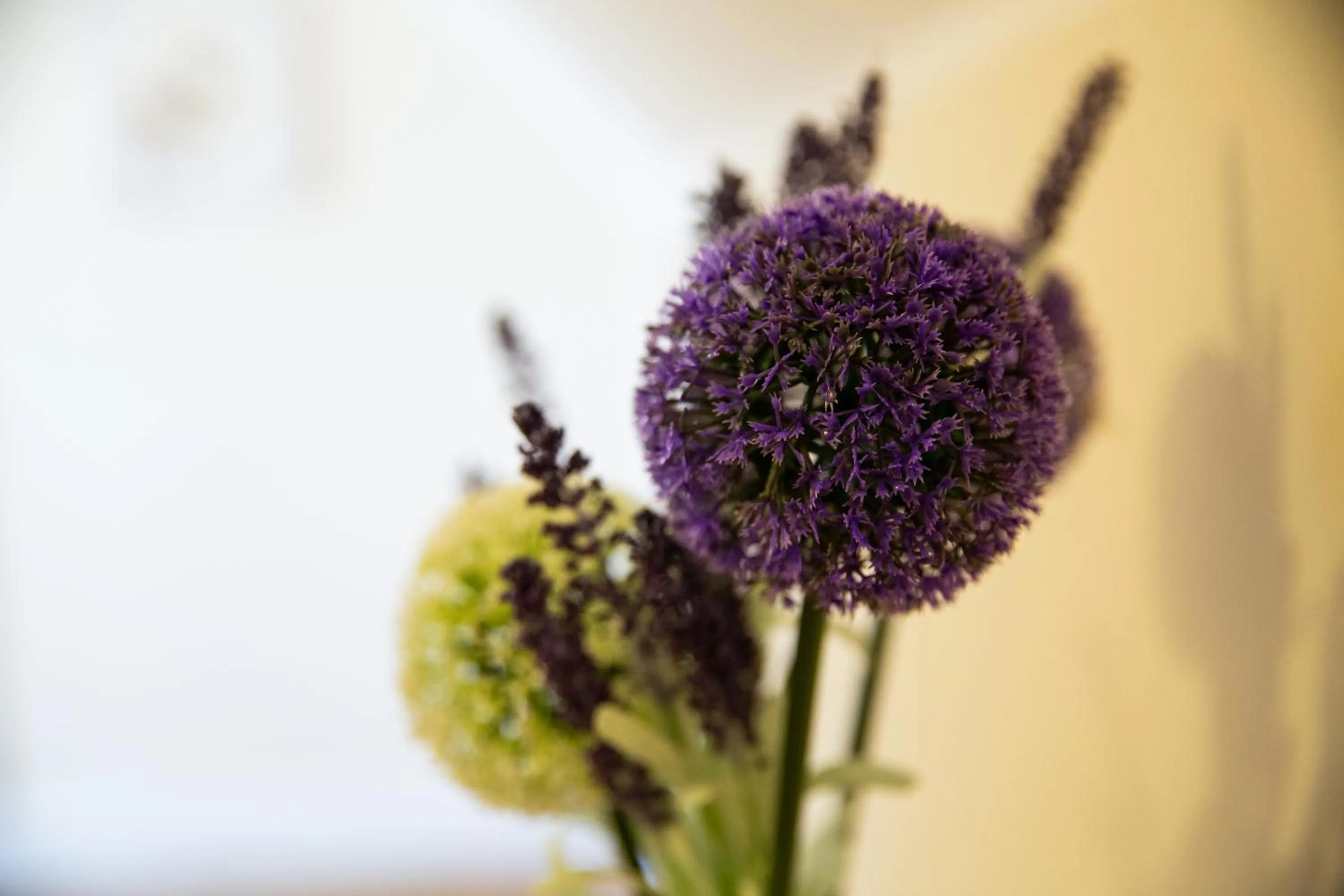 Other in Velvet 2-bedroom apartment, Clockhouse, Hoddesdon