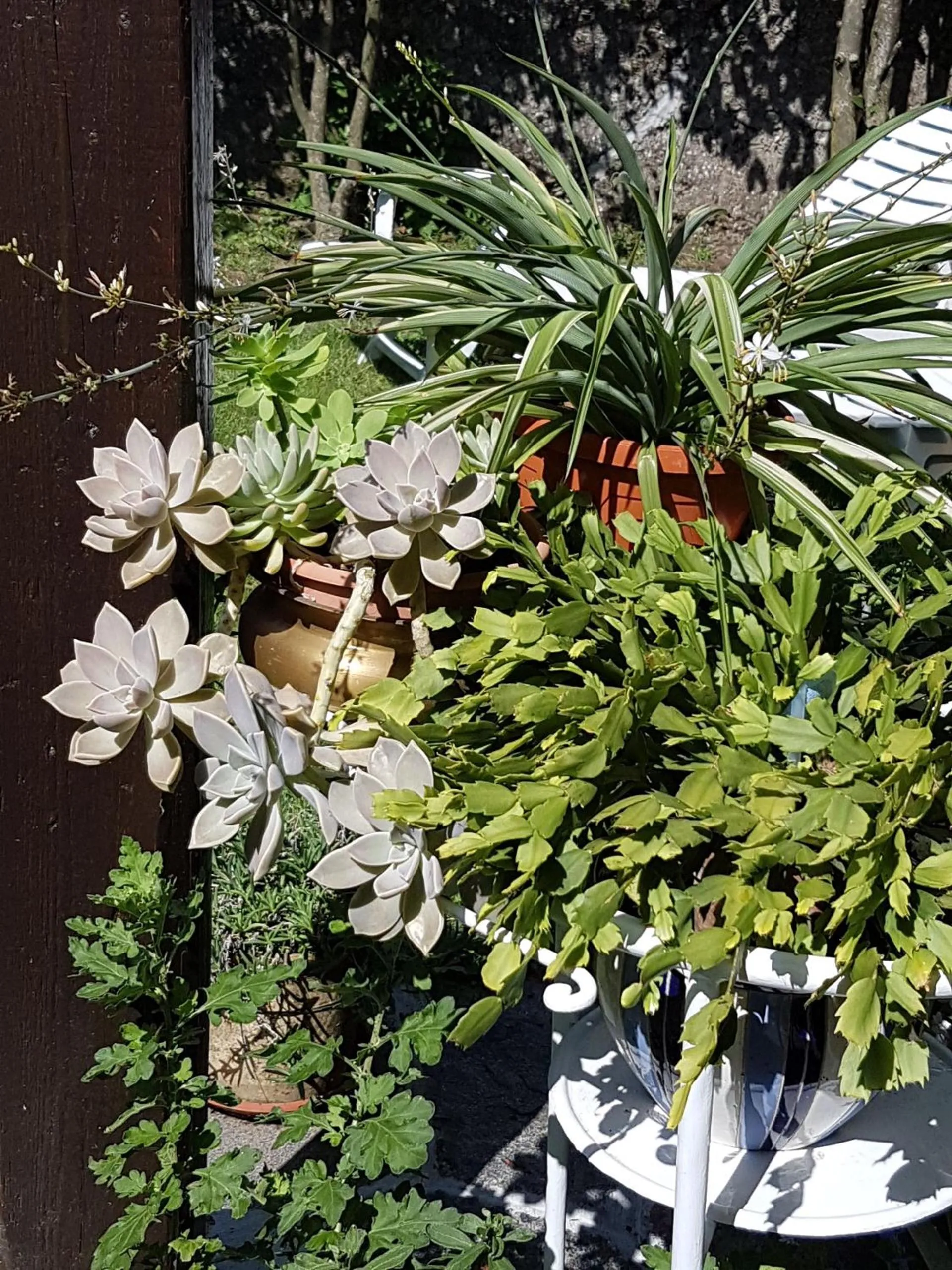 Bed & Breakfast Gli Oleandri