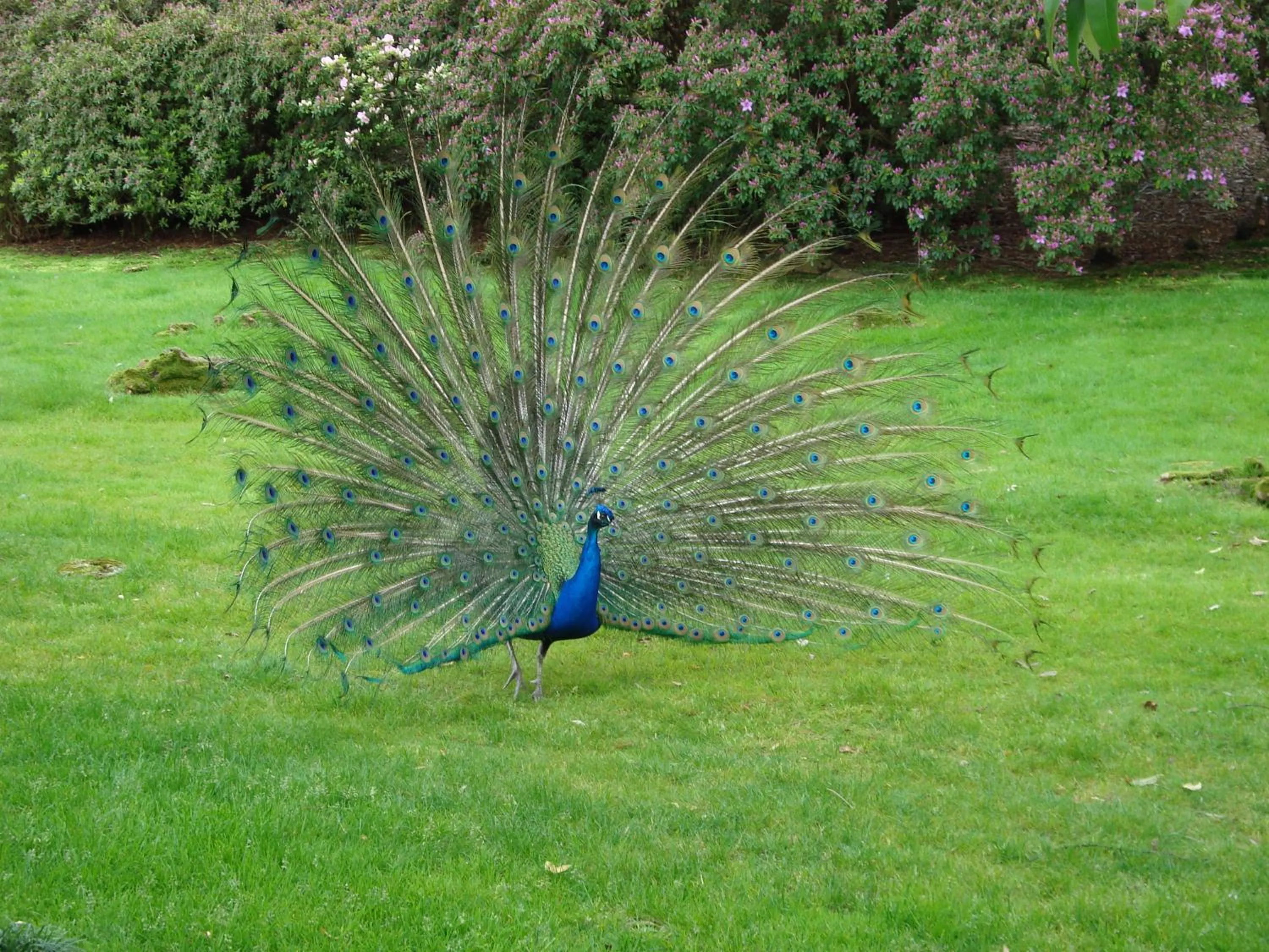 Nearby landmark in Bed & Breakfast Gli Oleandri