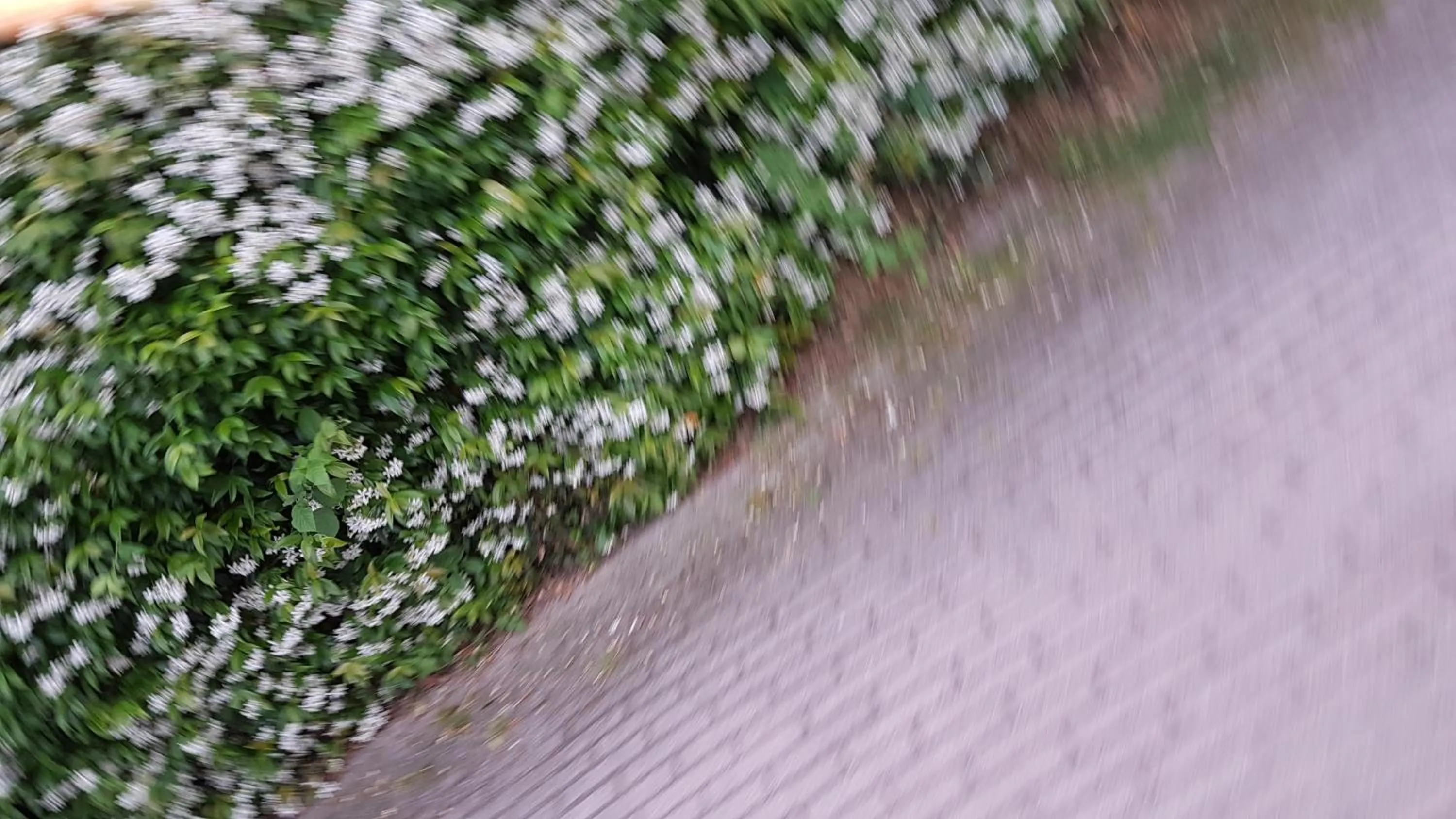 Garden in Bed & Breakfast Gli Oleandri