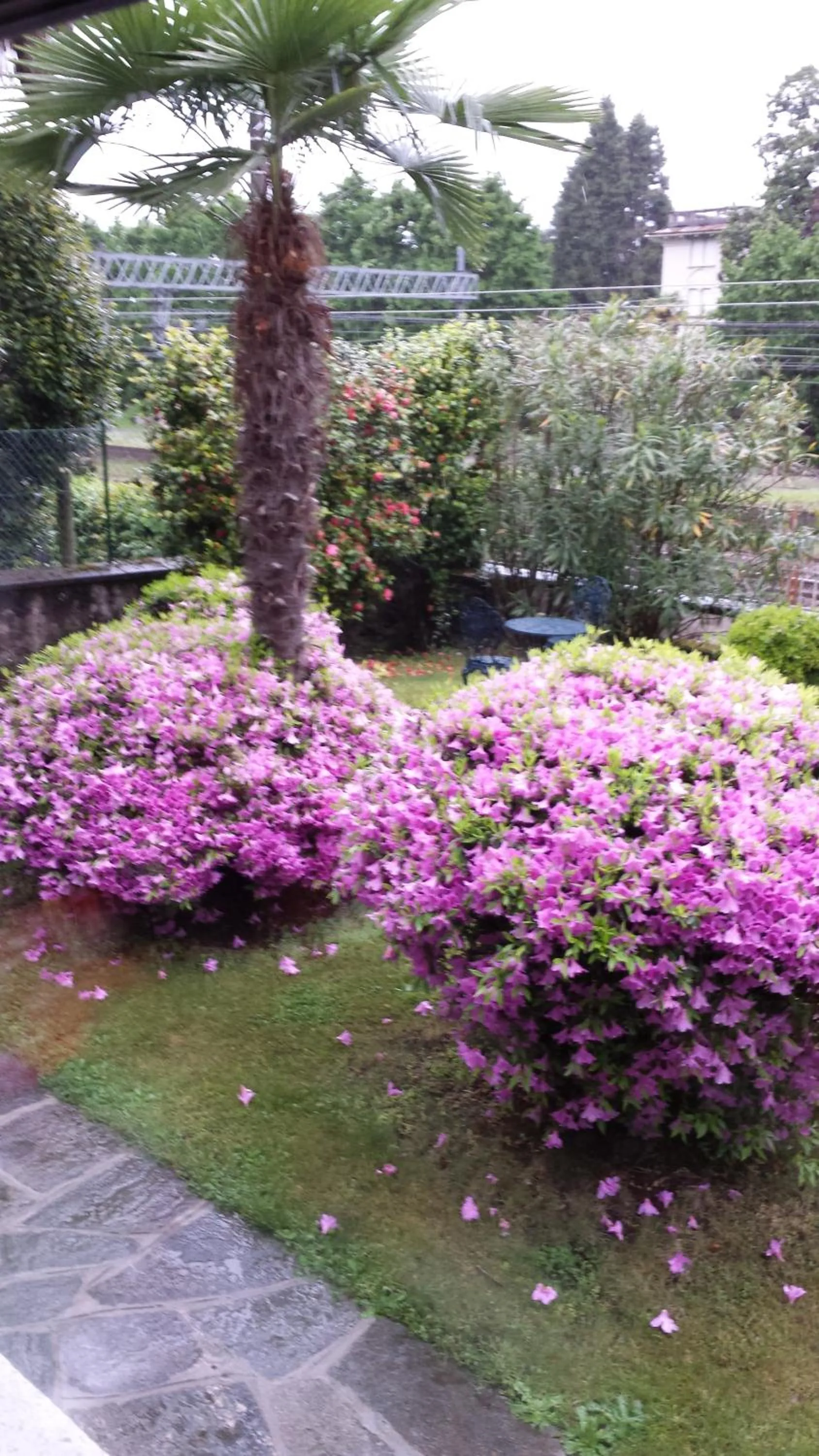 Garden in Bed & Breakfast Gli Oleandri