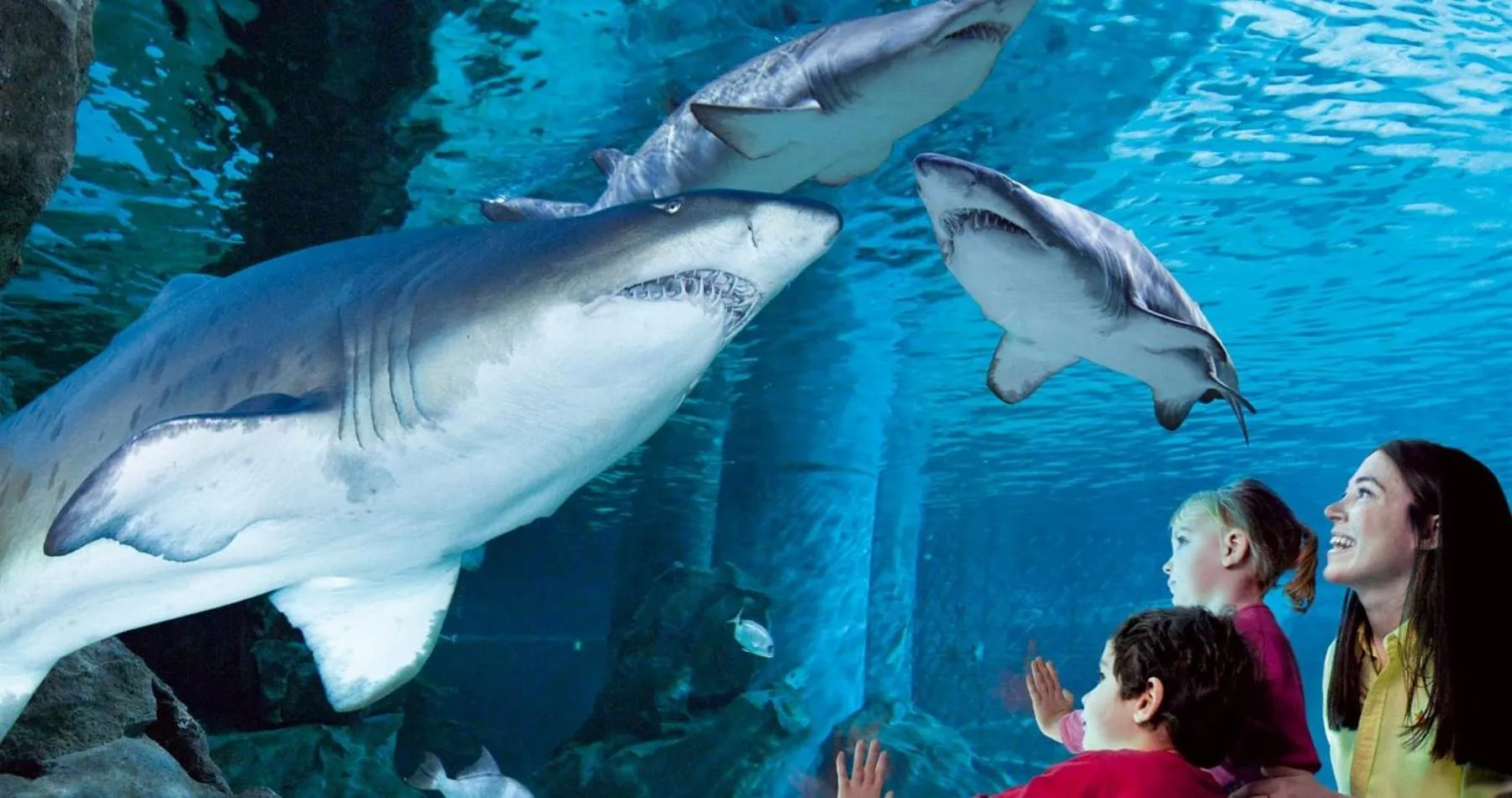 children in Hotel San Marino