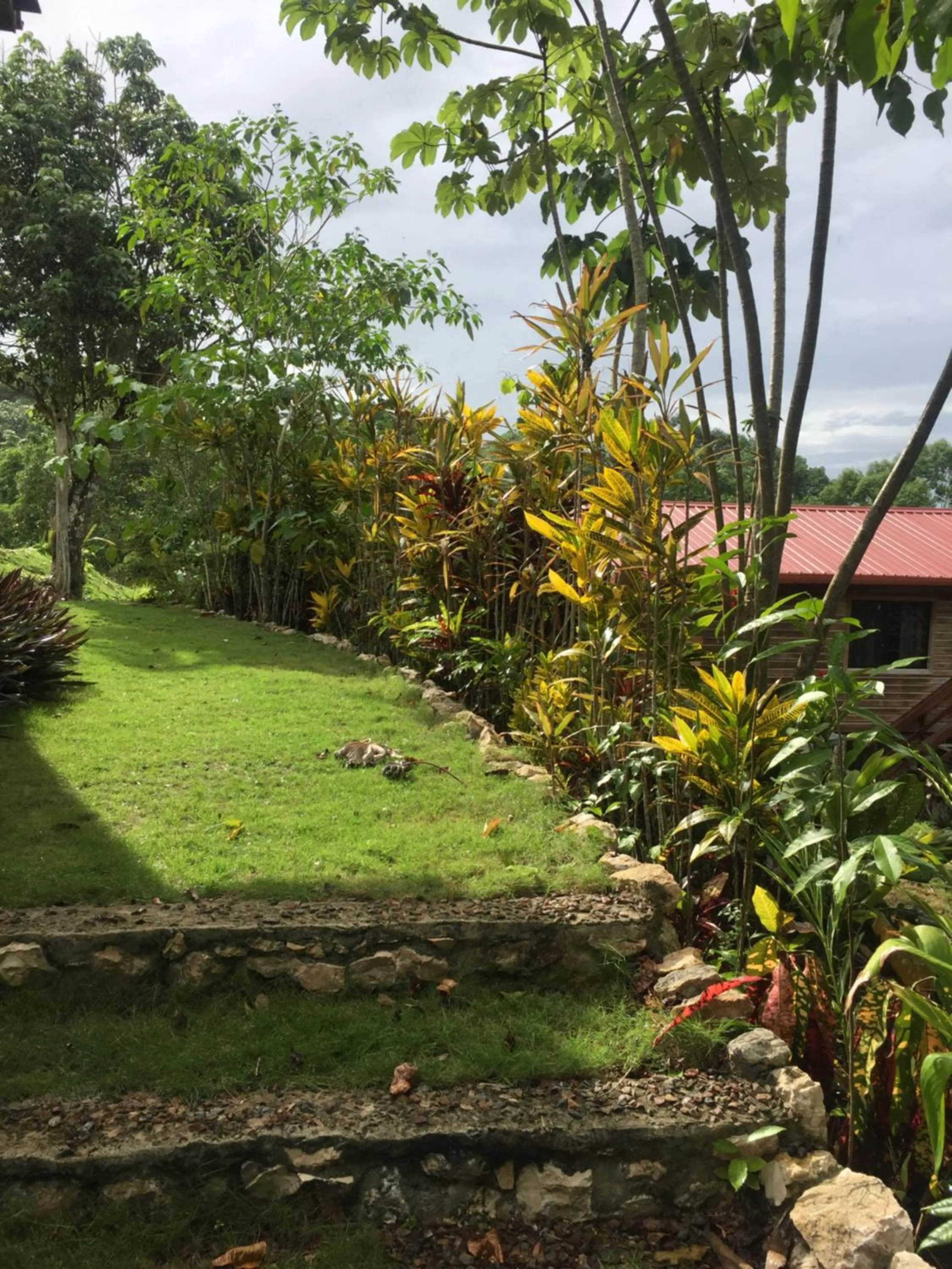 Natural landscape in Santa Cruz Cabins