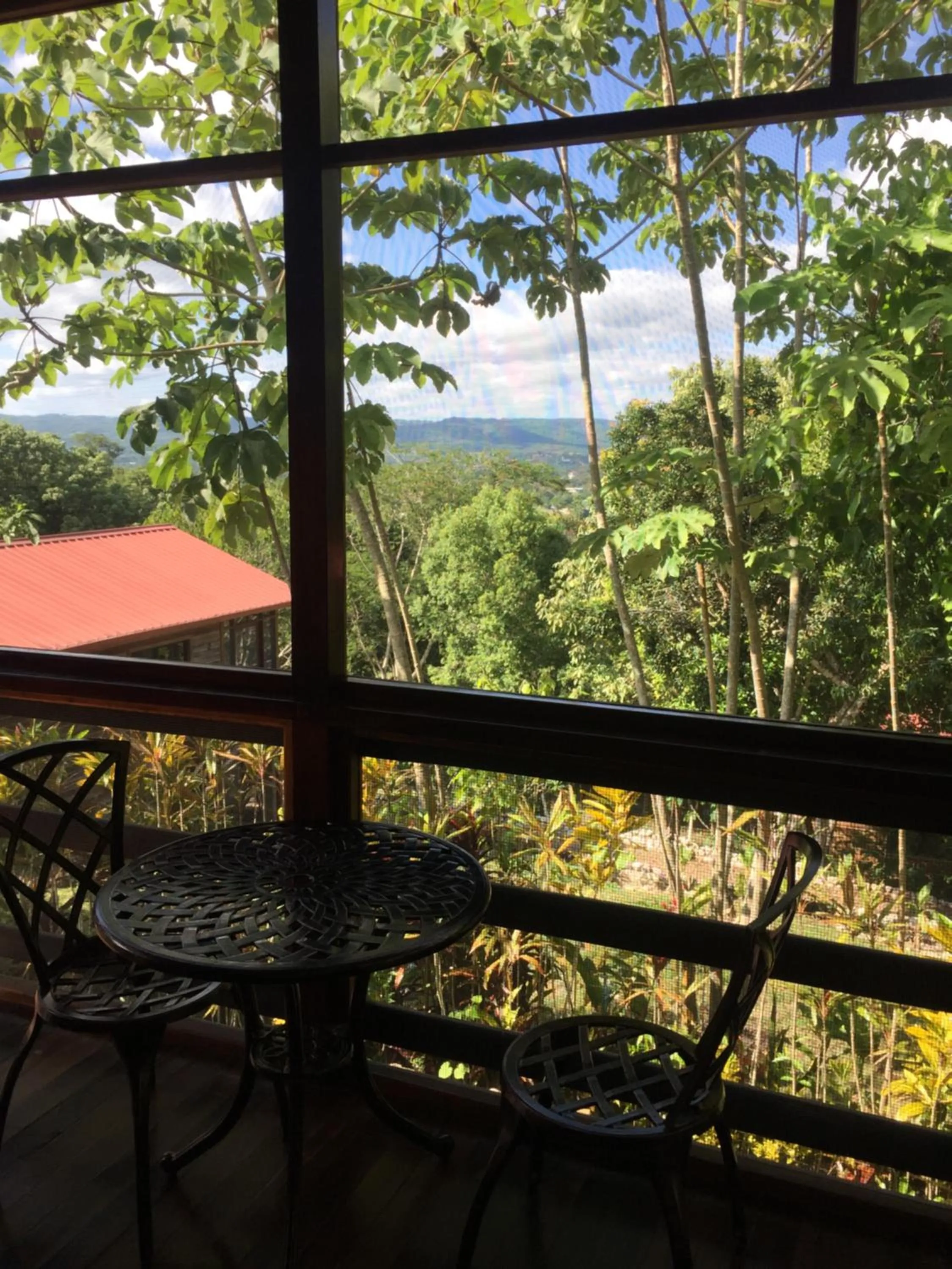 Bird's eye view in Santa Cruz Cabins